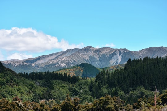 green trees near mountain under blue sky during daytime in Hanmer Springs New Zealand