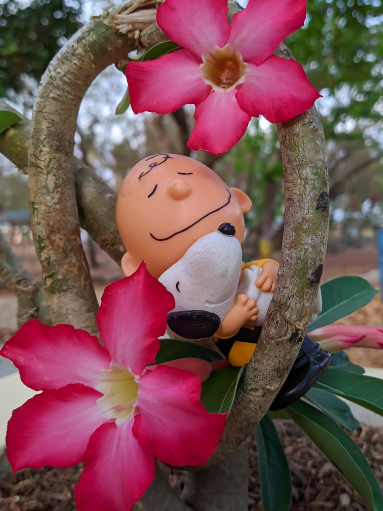 Funko Personalizado