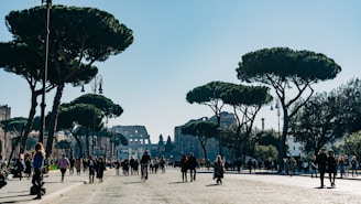 A busy street scene with numerous people walking and cycling on a wide, cobbled avenue. Large, distinctive umbrella pine trees line the street, casting shadows on the ground. In the distance, the ancient Colosseum is visible under a clear blue sky, surrounded by historical buildings.