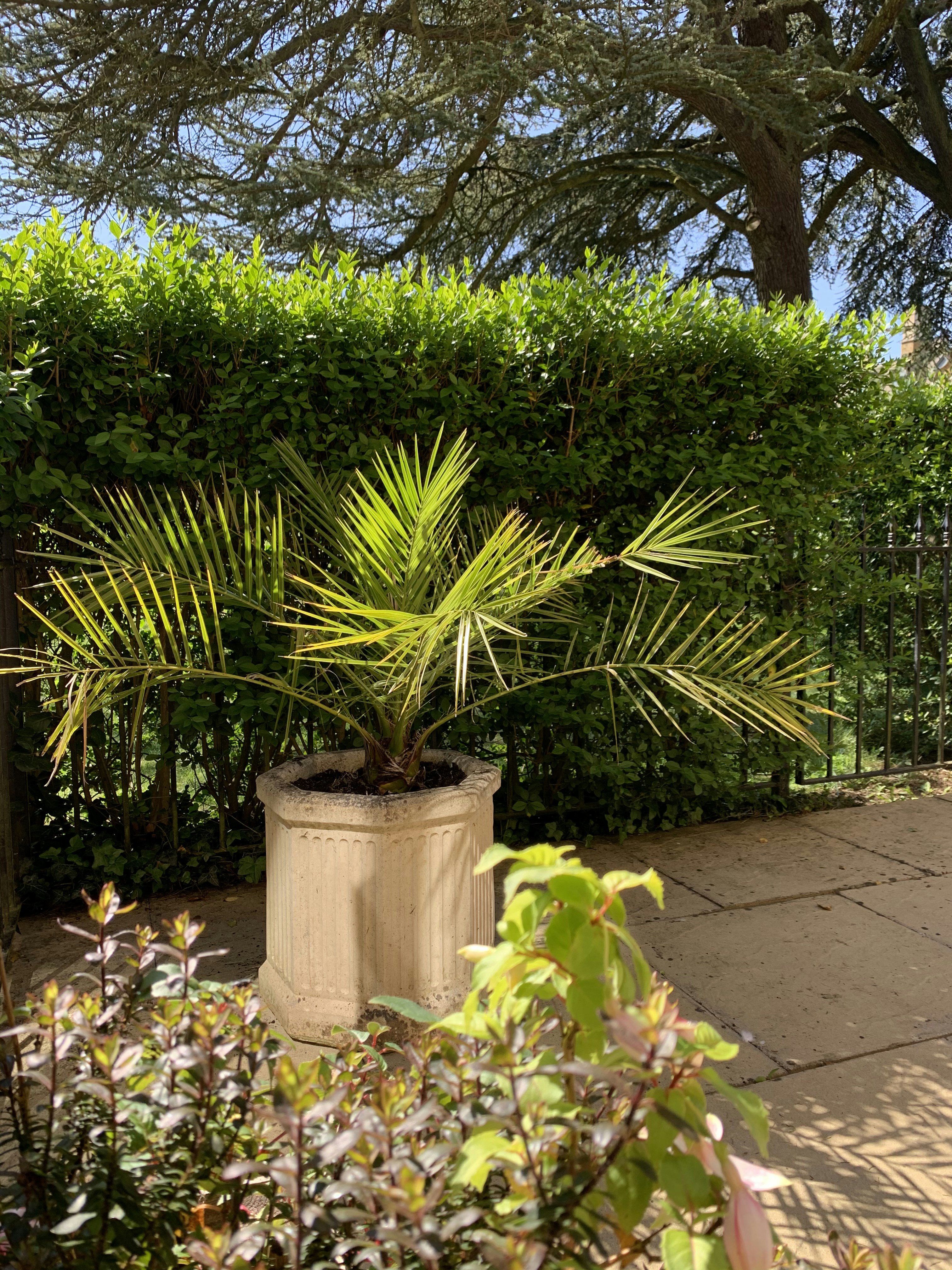 Elegant Stone Planter