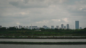 A professional accountant reviewing financial documents with a Vietnam city skyline visible through the office window.