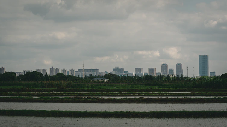 A professional accountant reviewing financial documents with a Vietnam city skyline visible through the office window.
