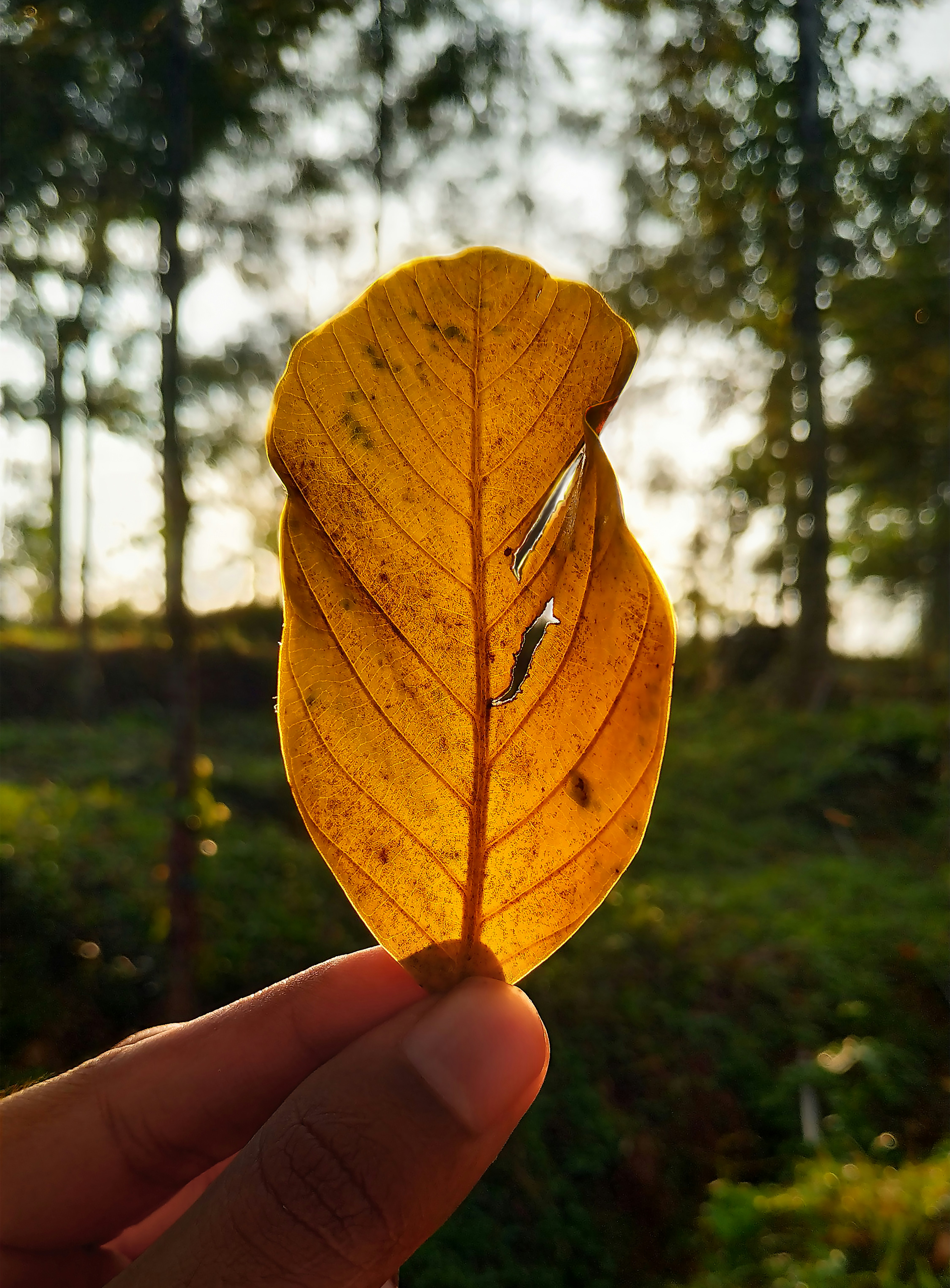 Photo by tonyzebastian
