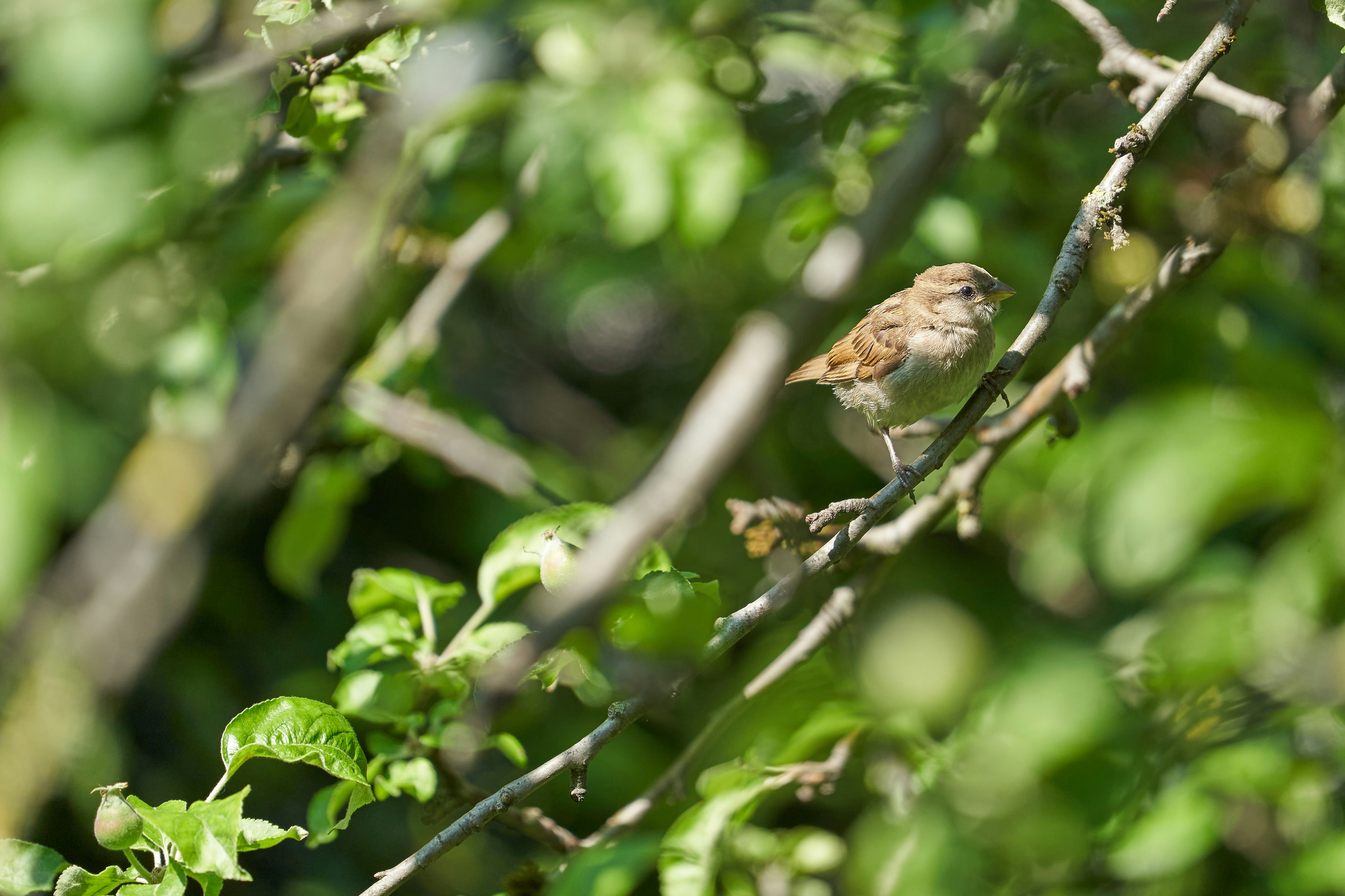 Photo by wolfgang_hasselmann