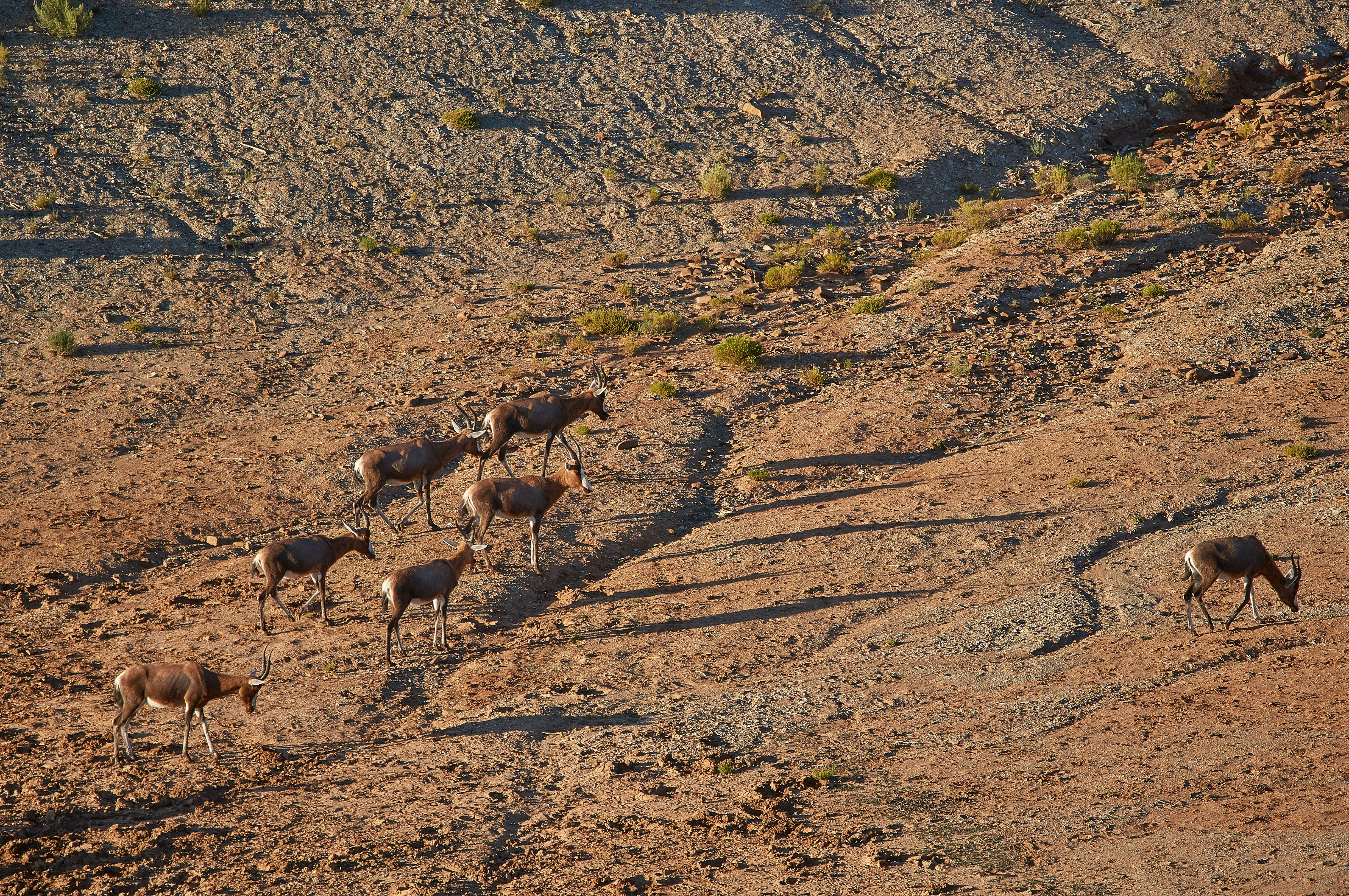 Photo by wolfgang_hasselmann