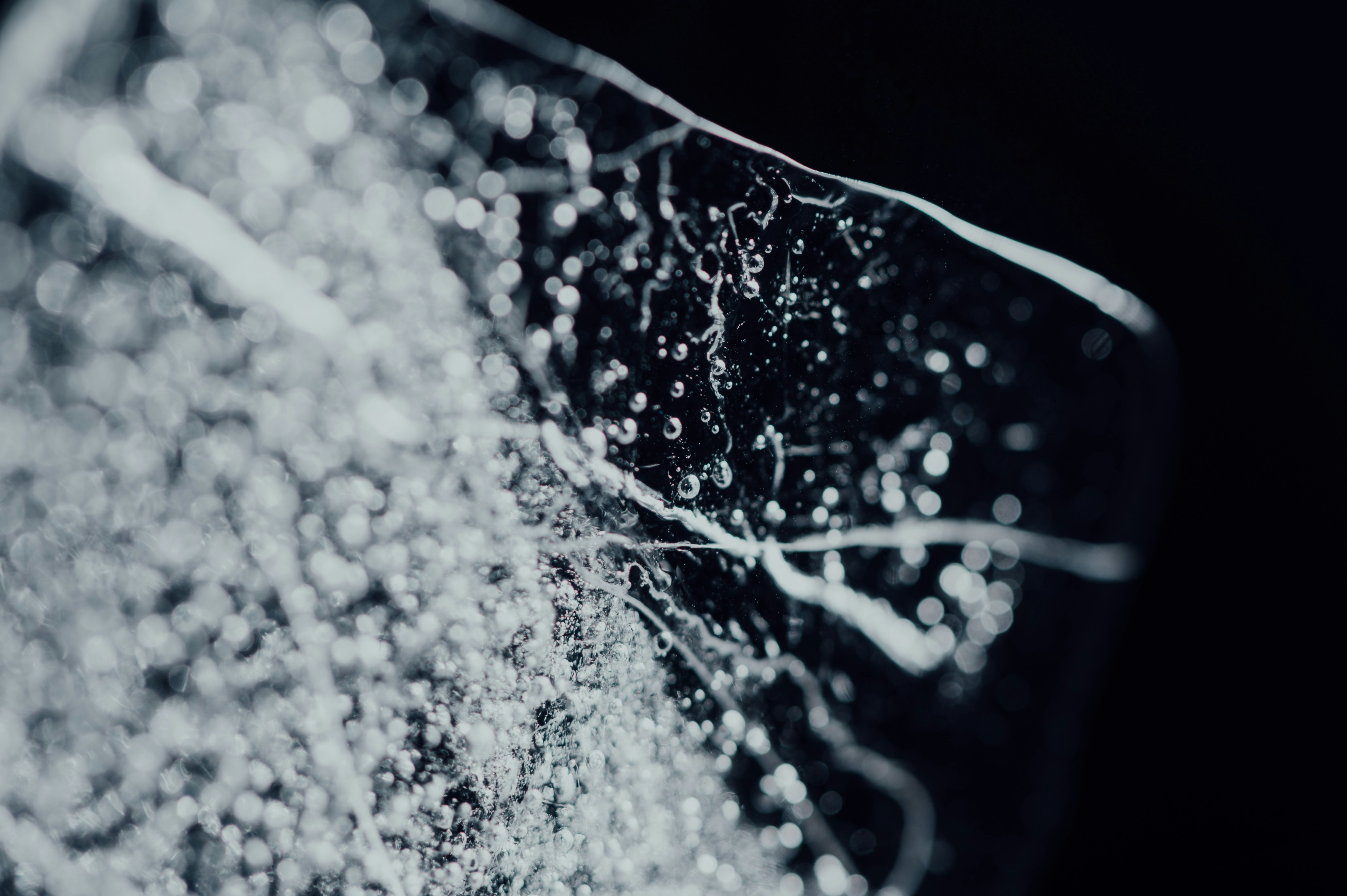 Photo by chuttersnap