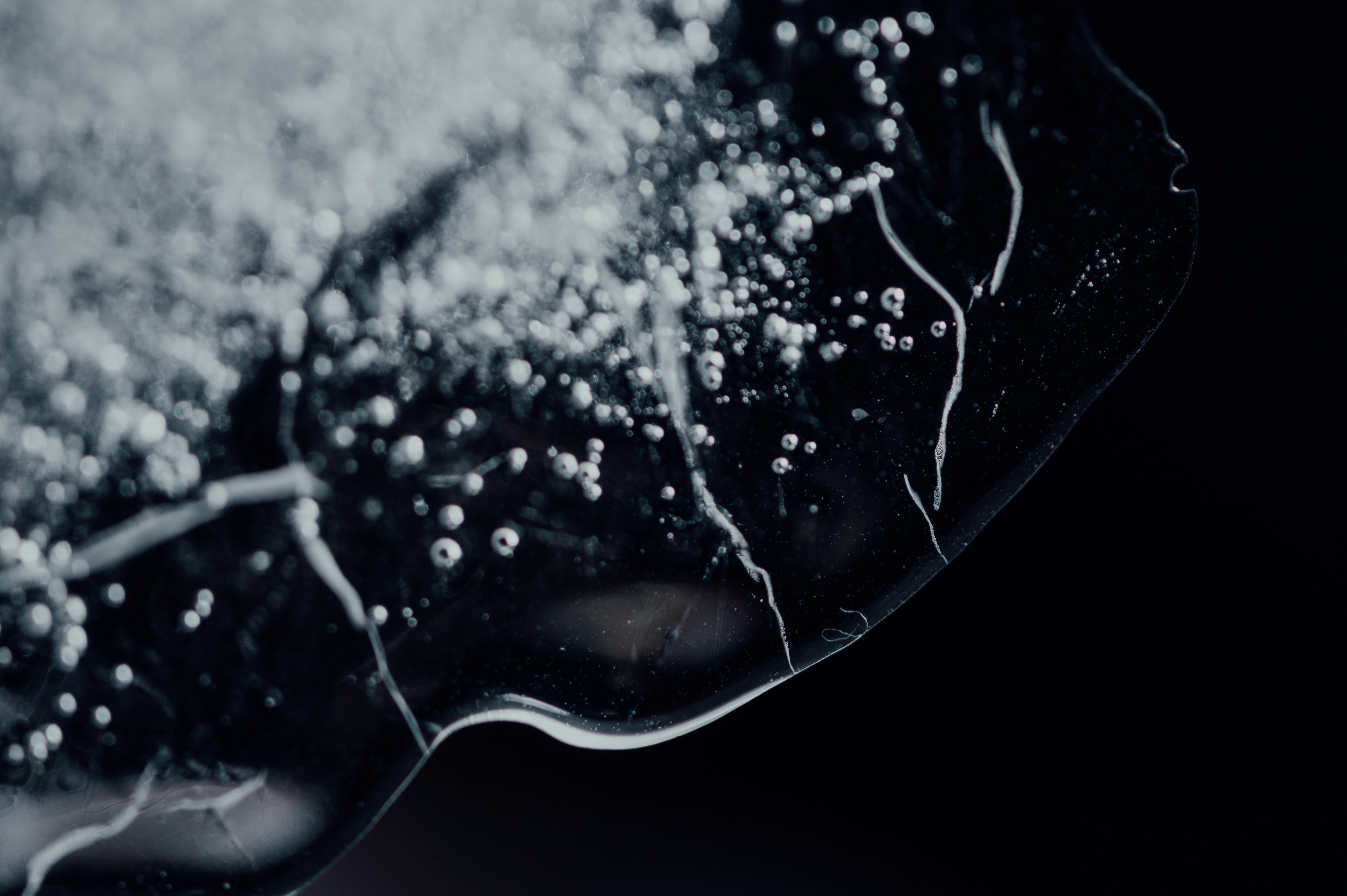 Photo by chuttersnap