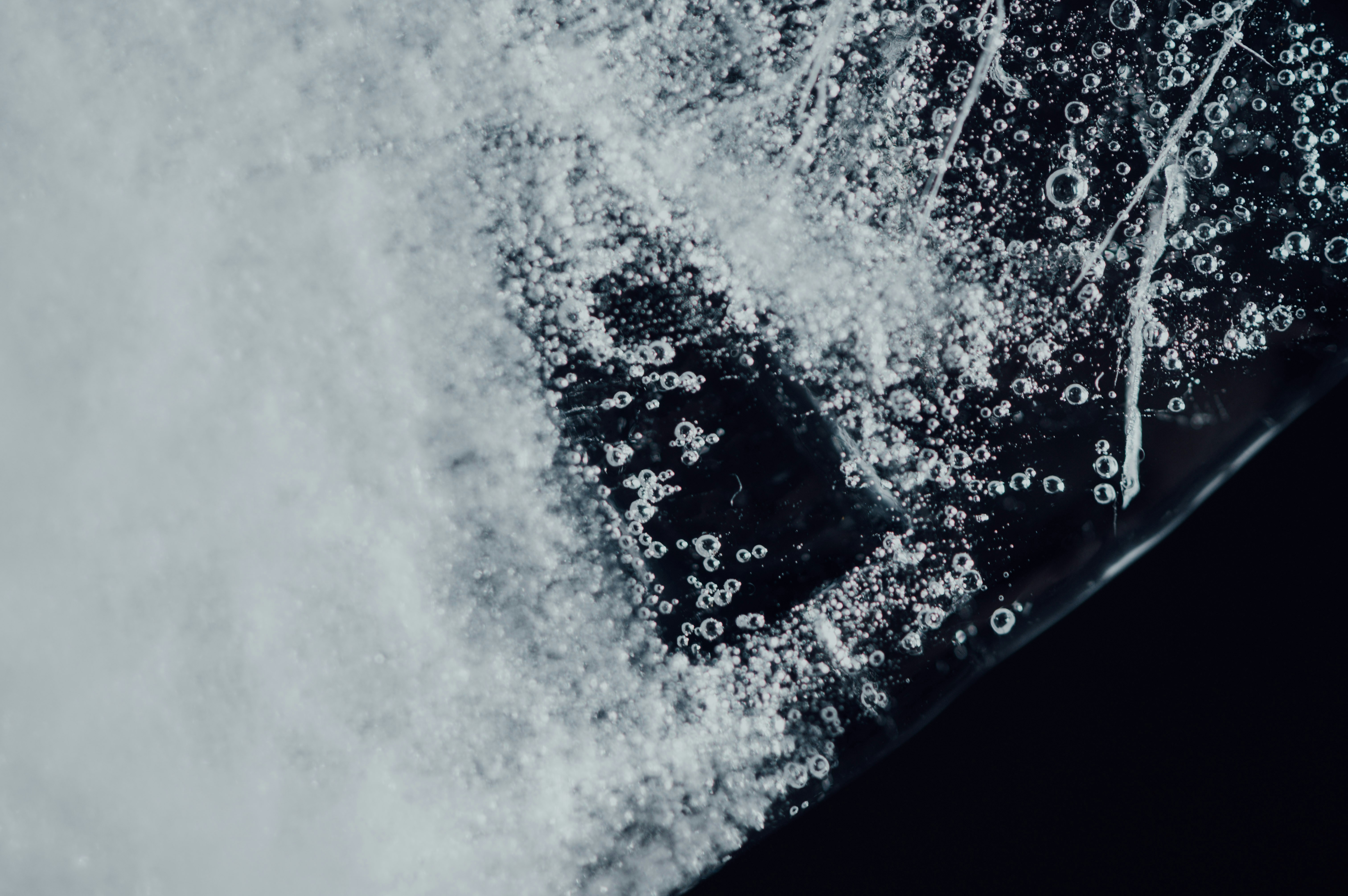 Photo by chuttersnap