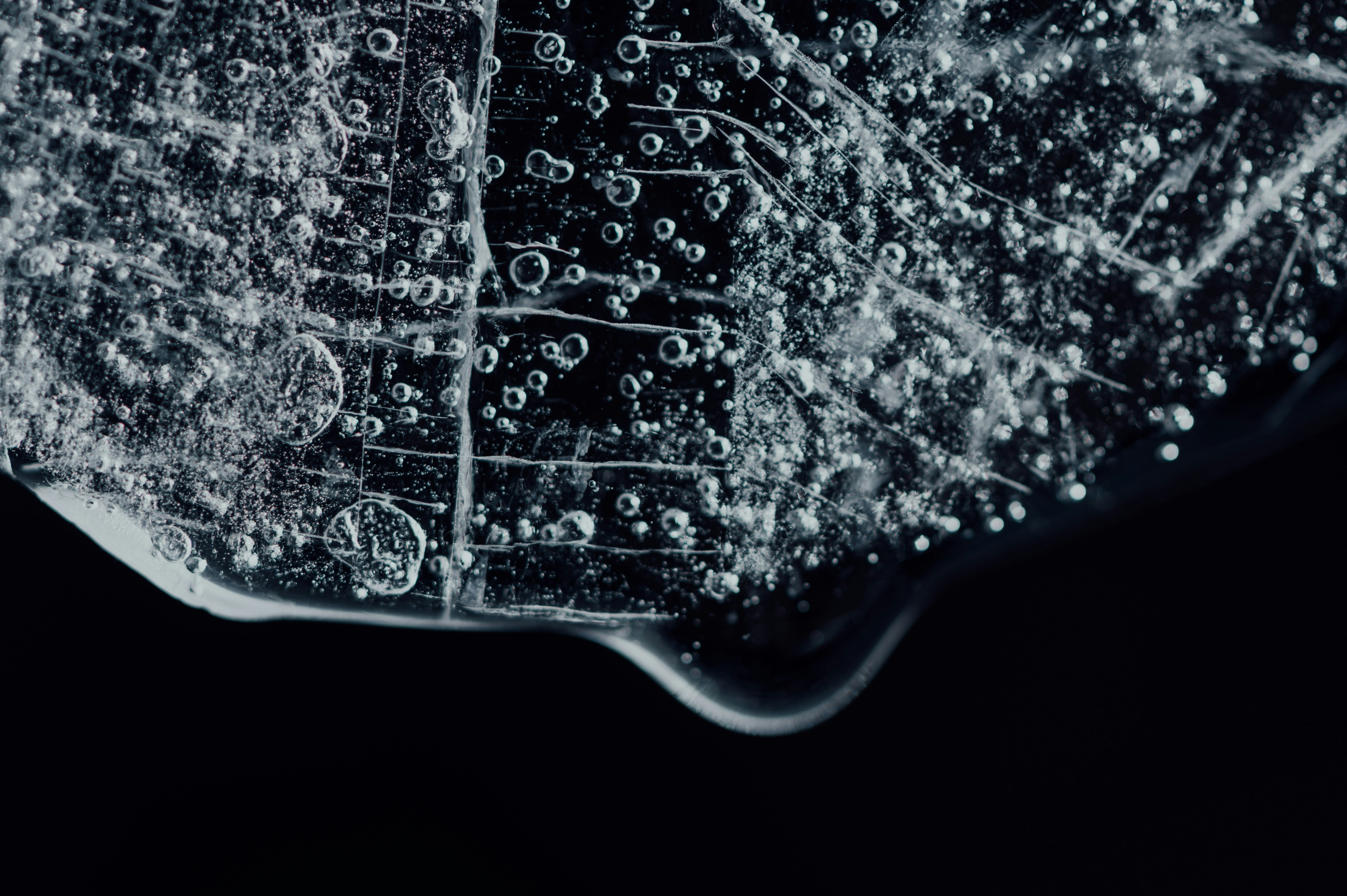 Photo by chuttersnap