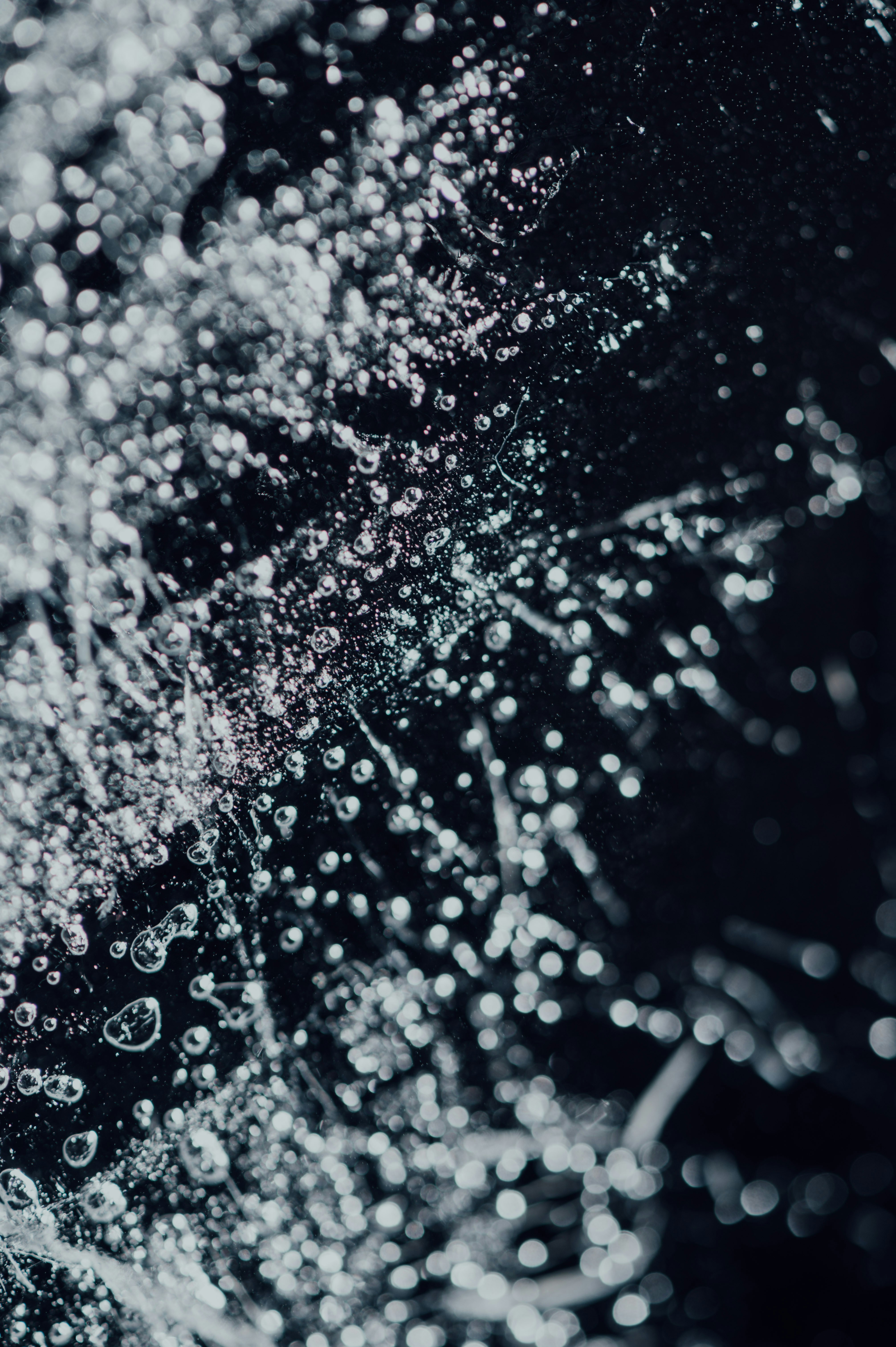 Photo by chuttersnap