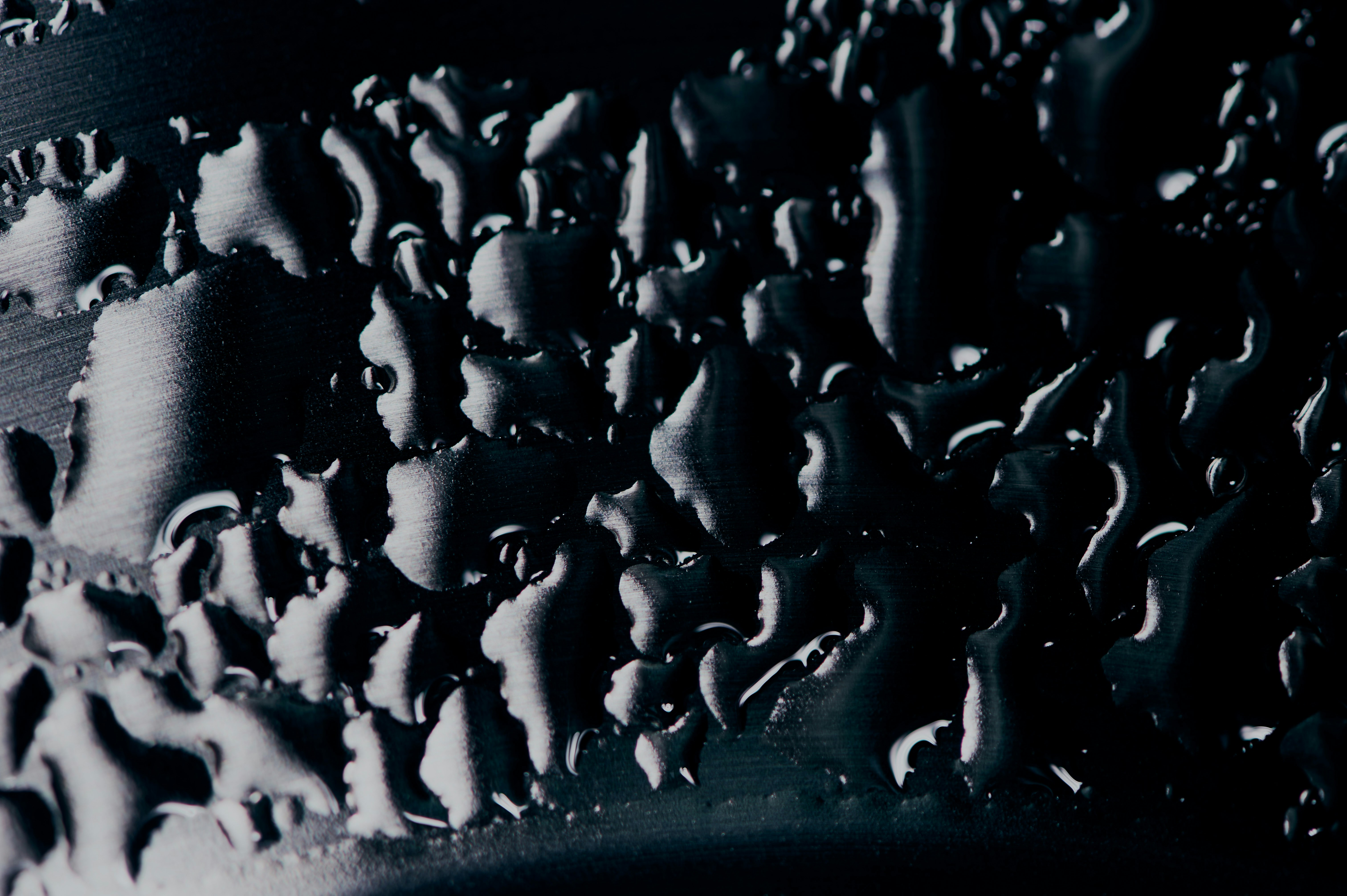 Photo by chuttersnap