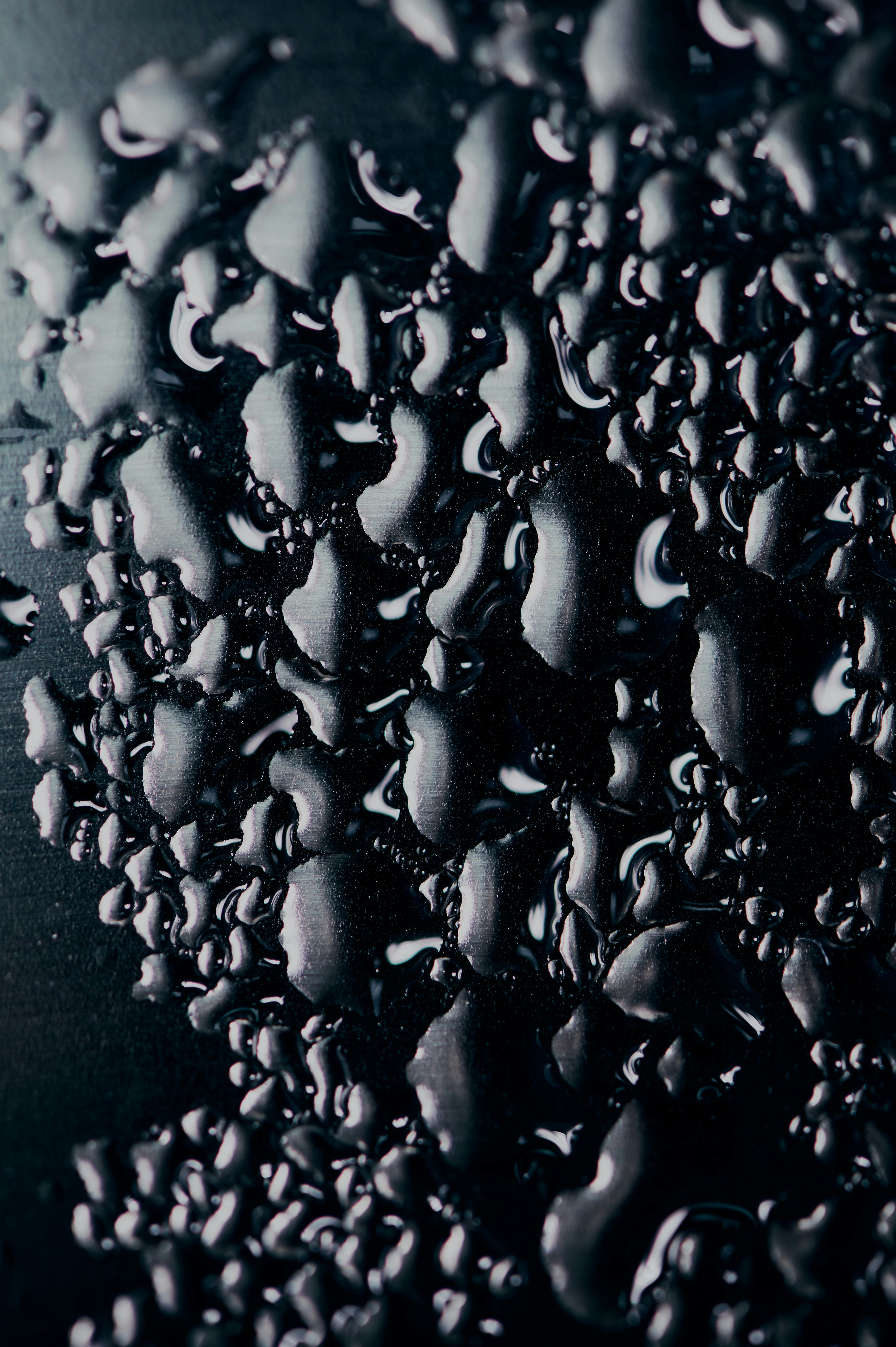 Photo by chuttersnap