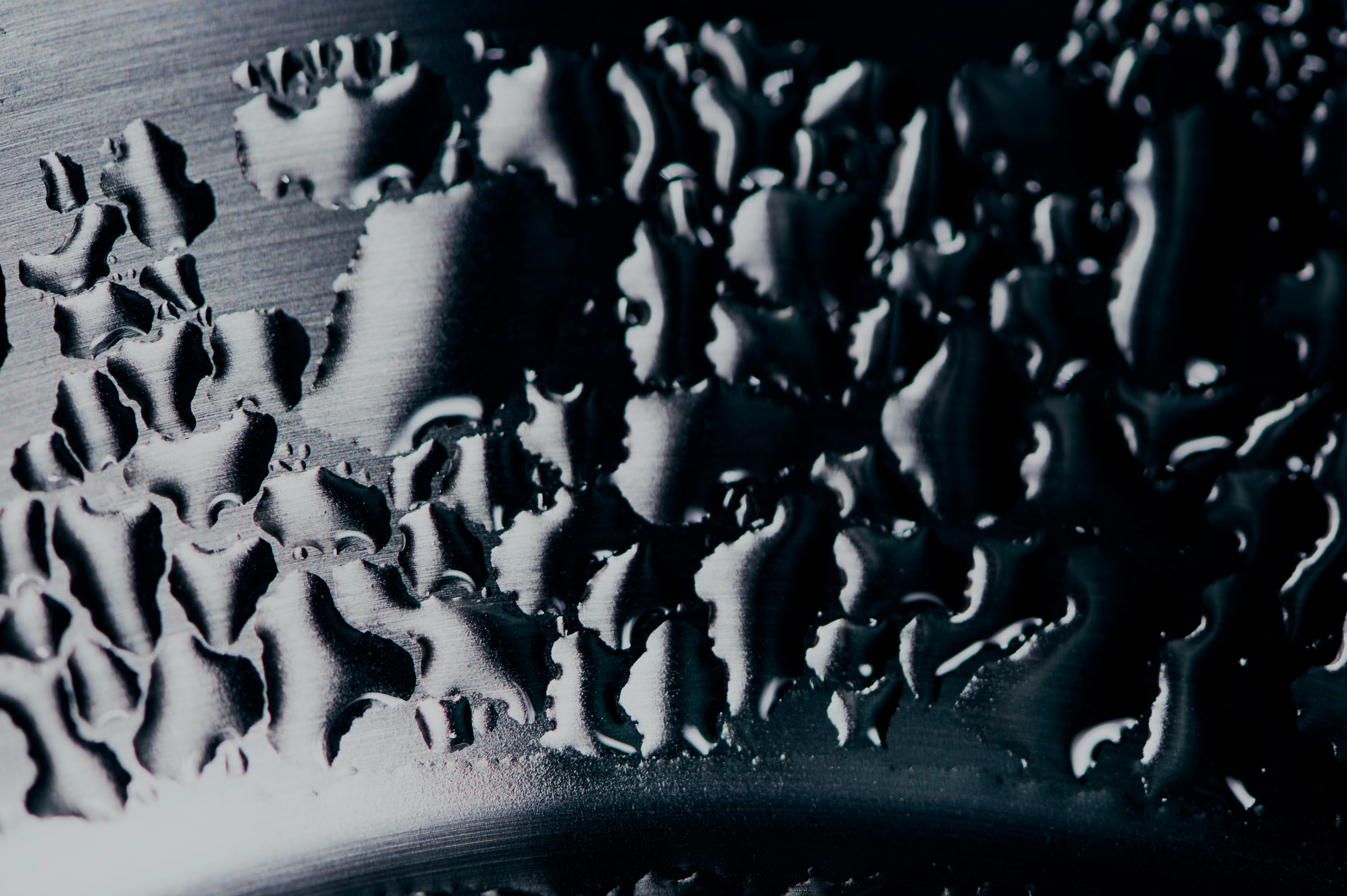 Photo by chuttersnap