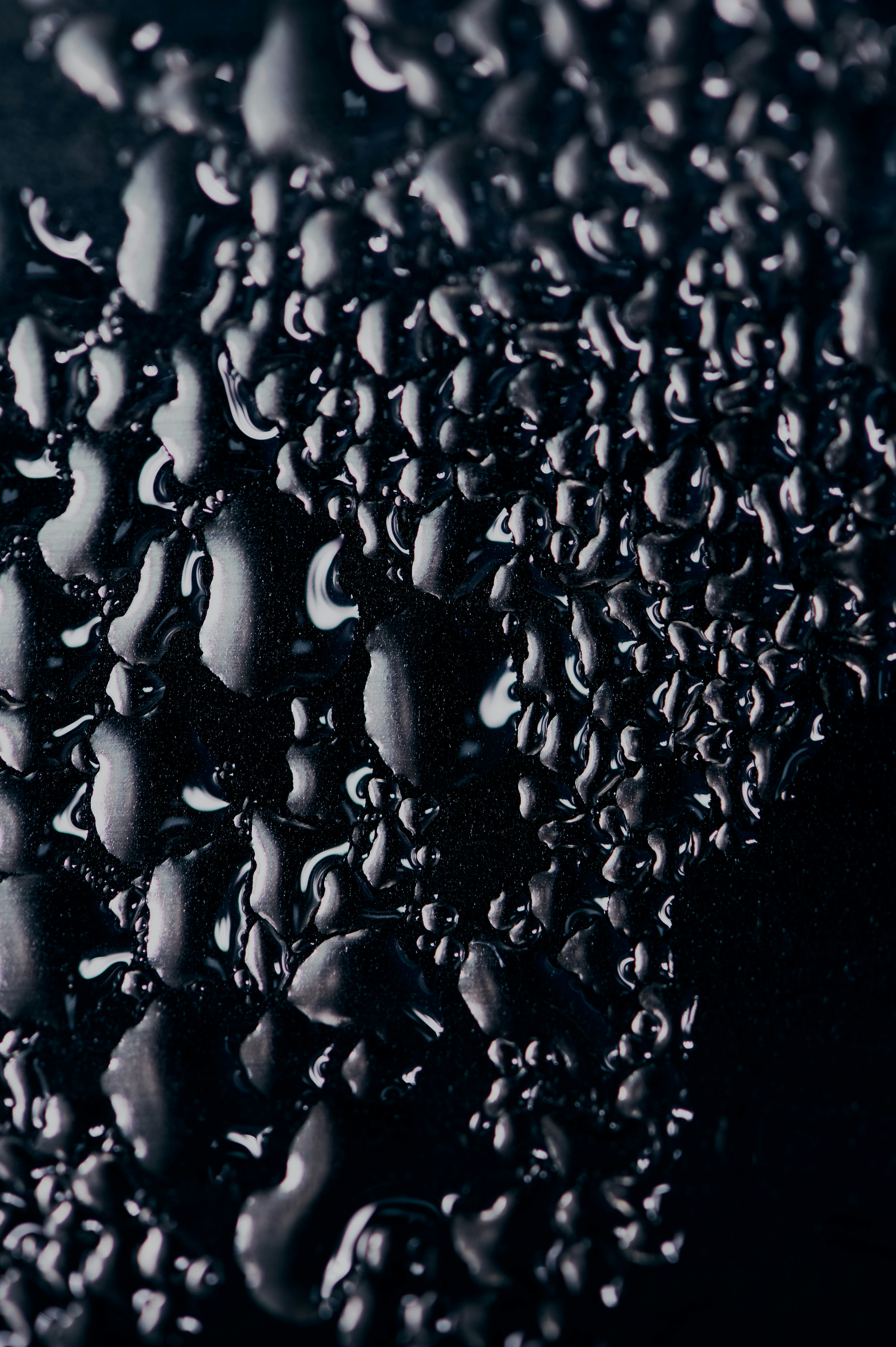 Photo by chuttersnap