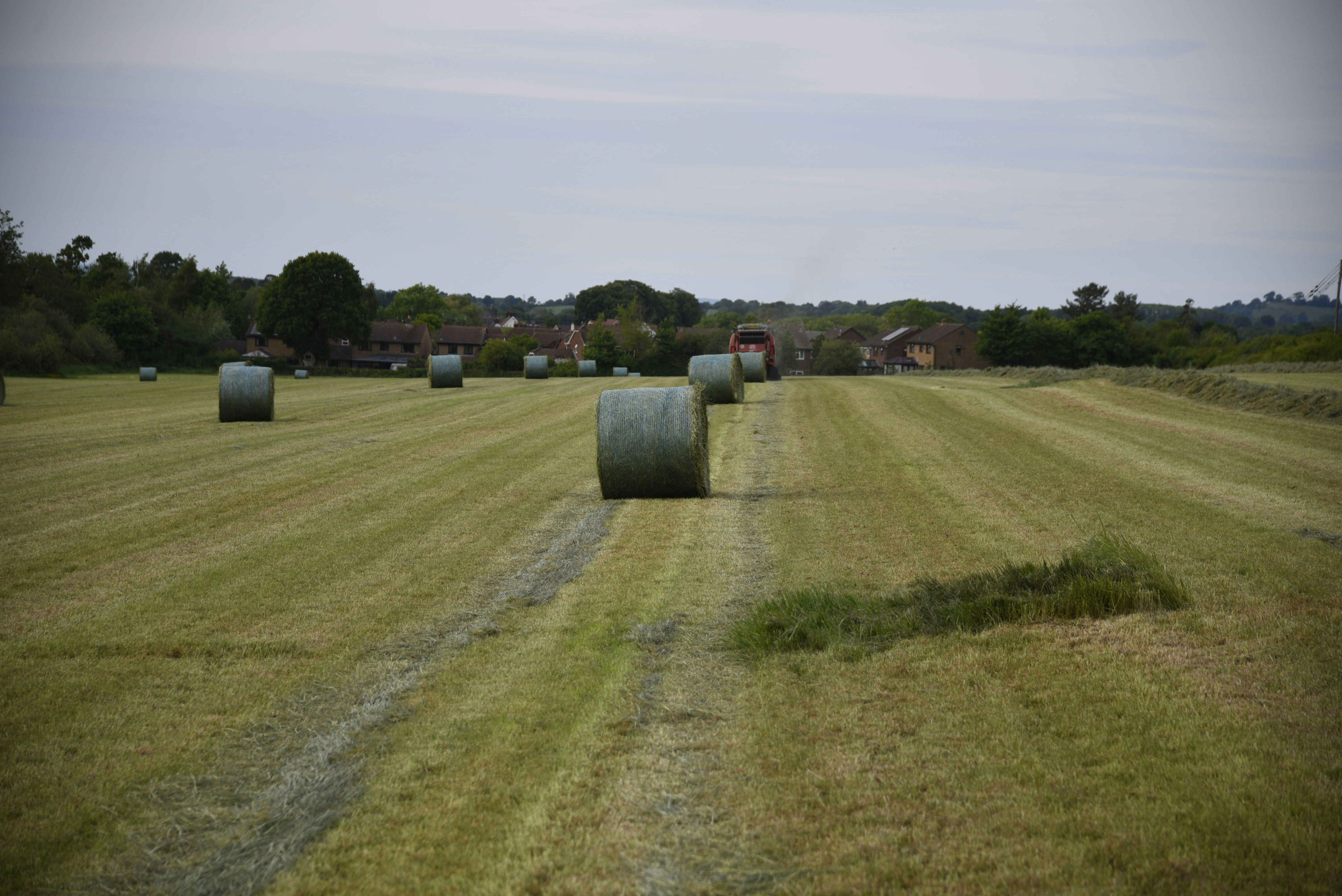 Councilors Field