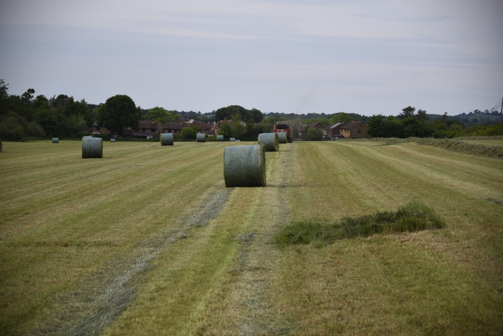 green and brown grass field under white sky during daytime