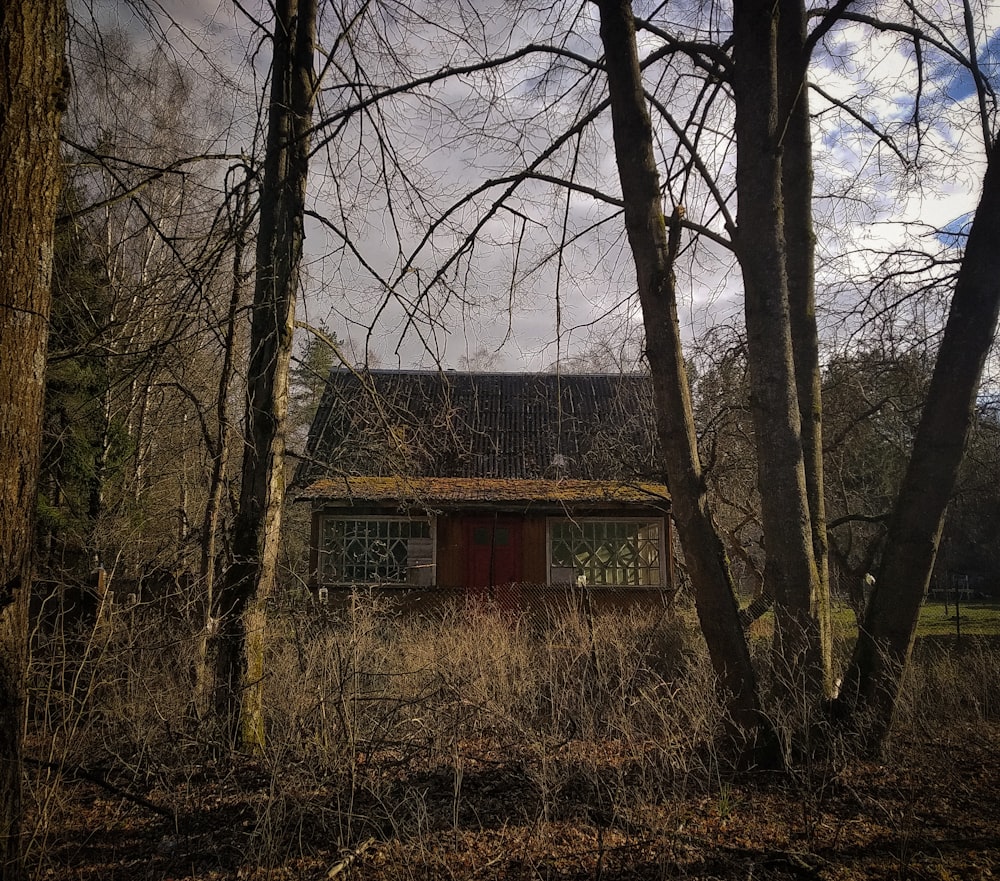 brown and black house surrounded by trees