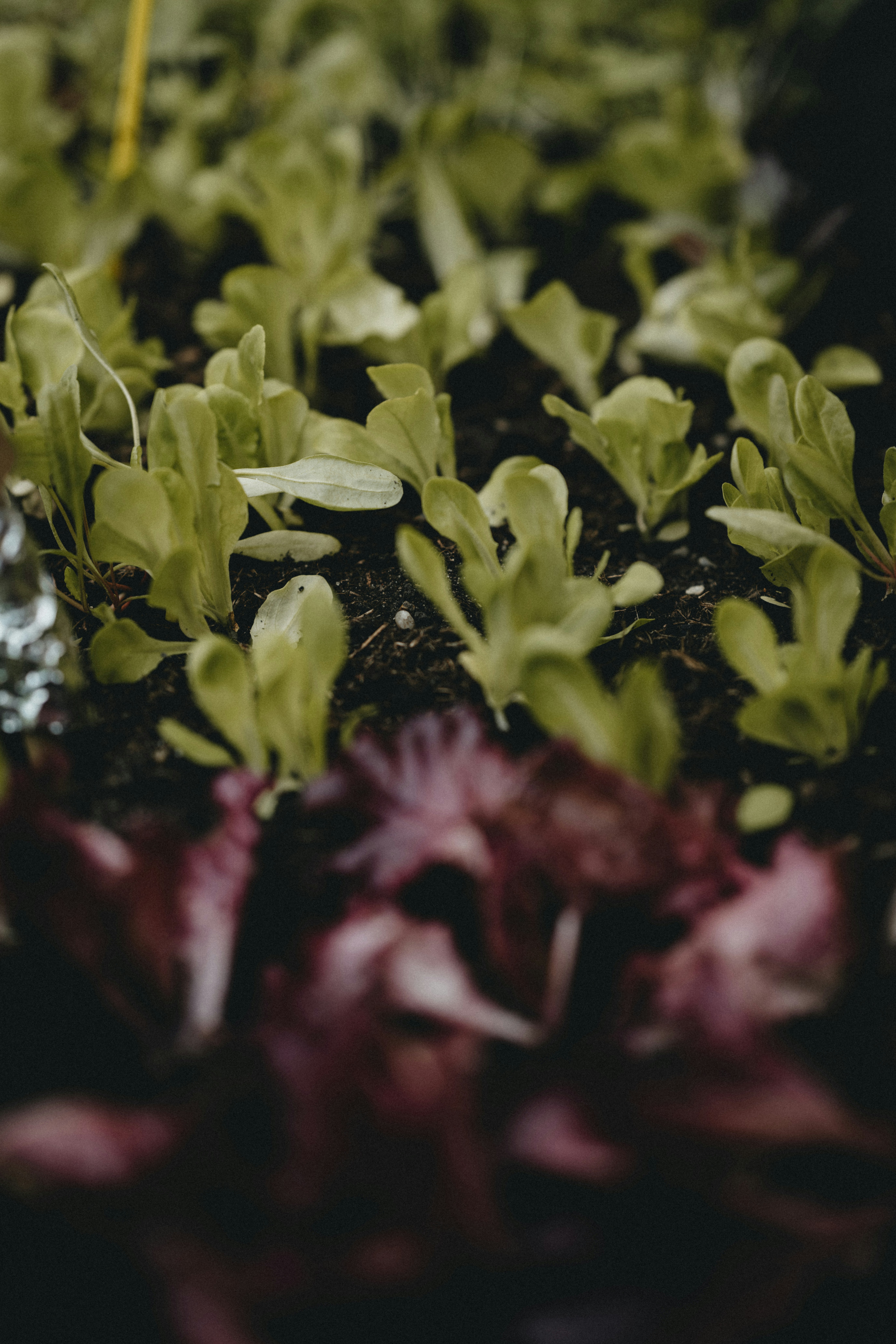 Photo by anniespratt