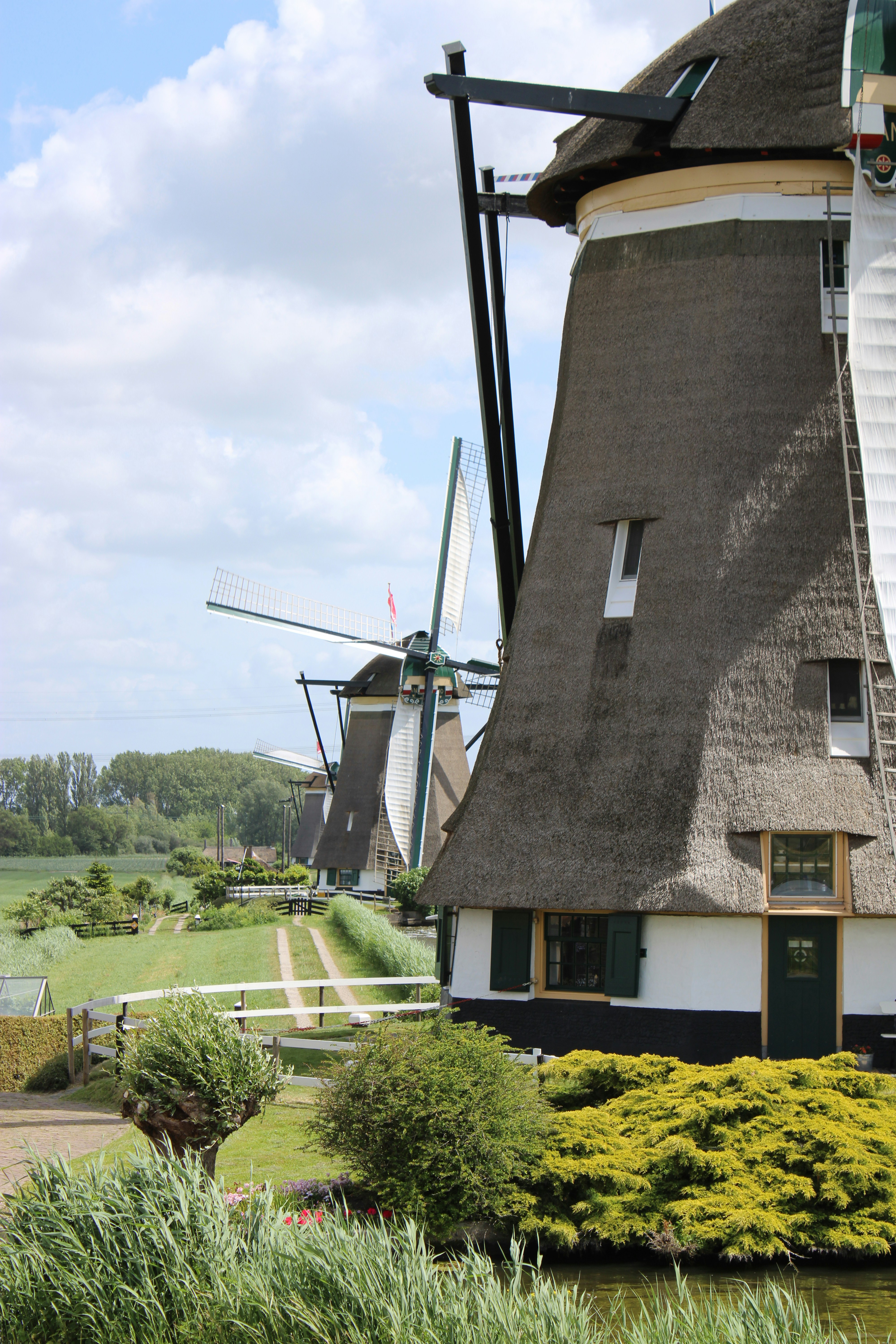 Vandaag ga ik: Wandelen langs de Rottemeren