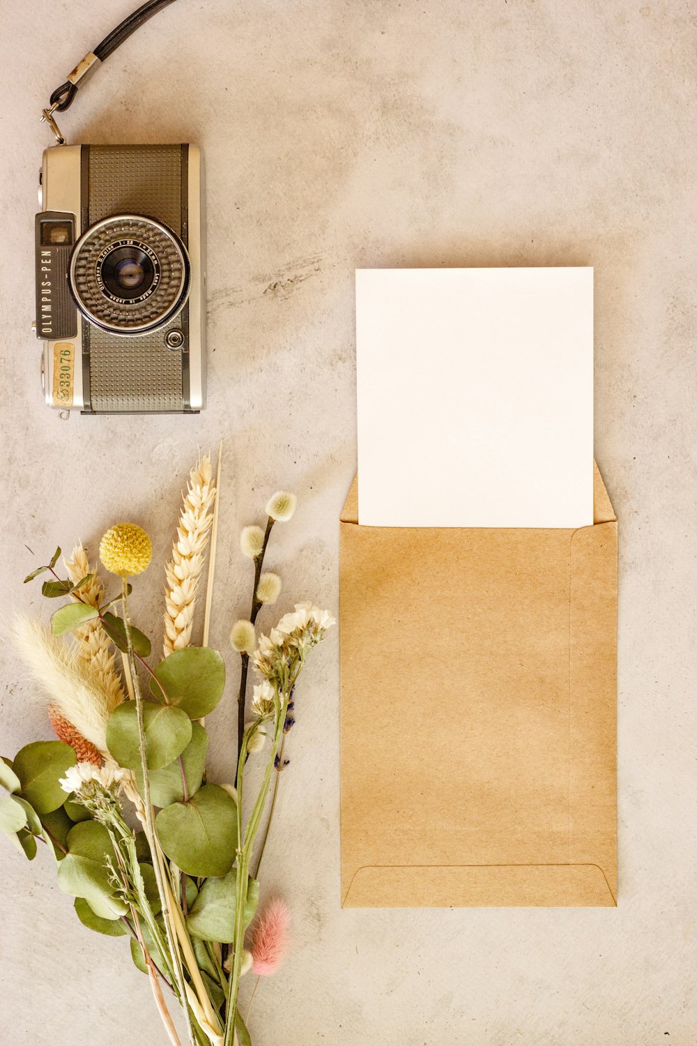 white and silver camera beside green cactus plant