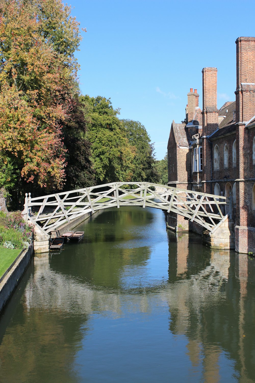 white bridge over river between trees during daytime