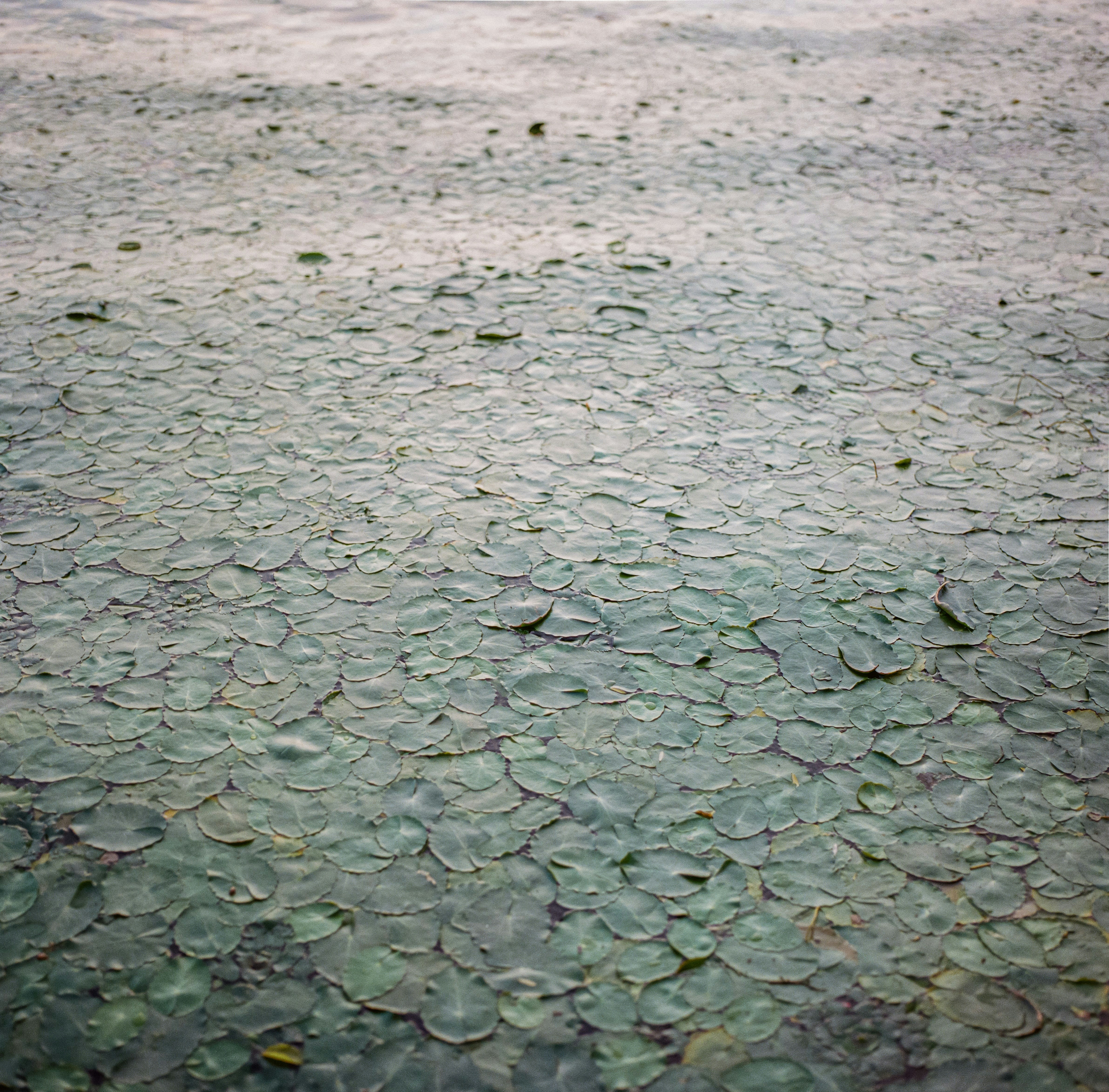 Photo by kennyzhang29