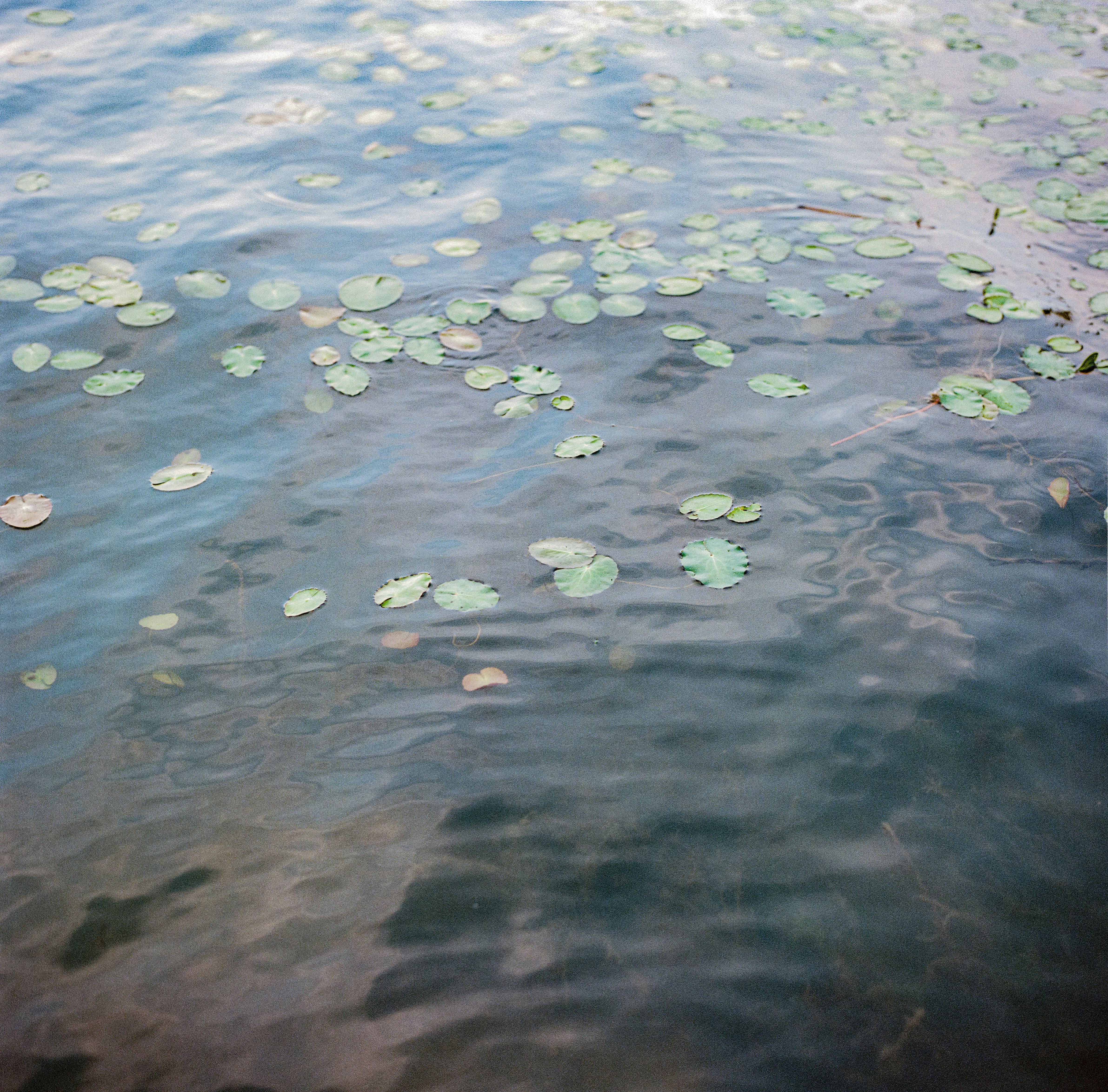 Photo by kennyzhang29
