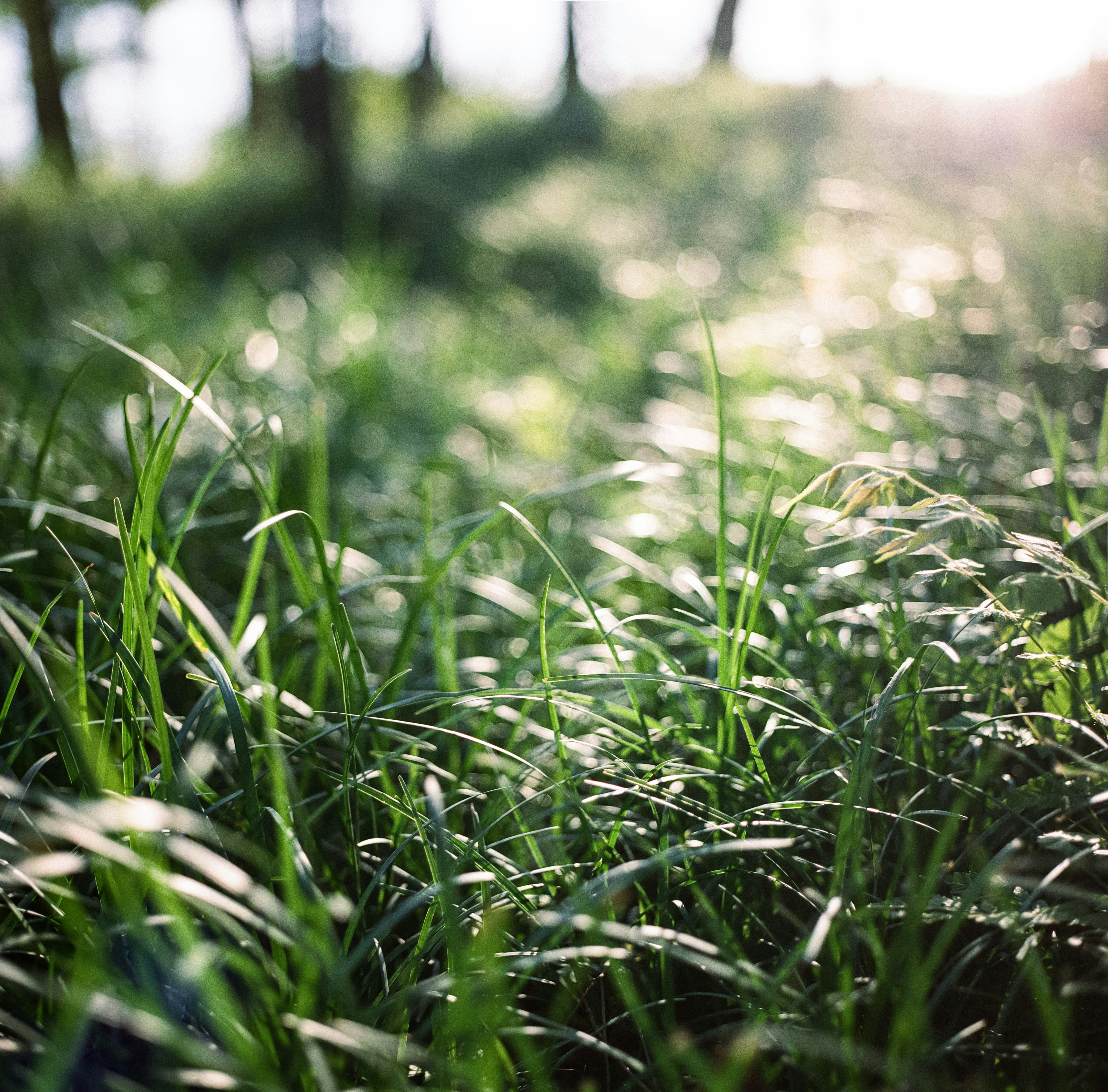 Photo by kennyzhang29