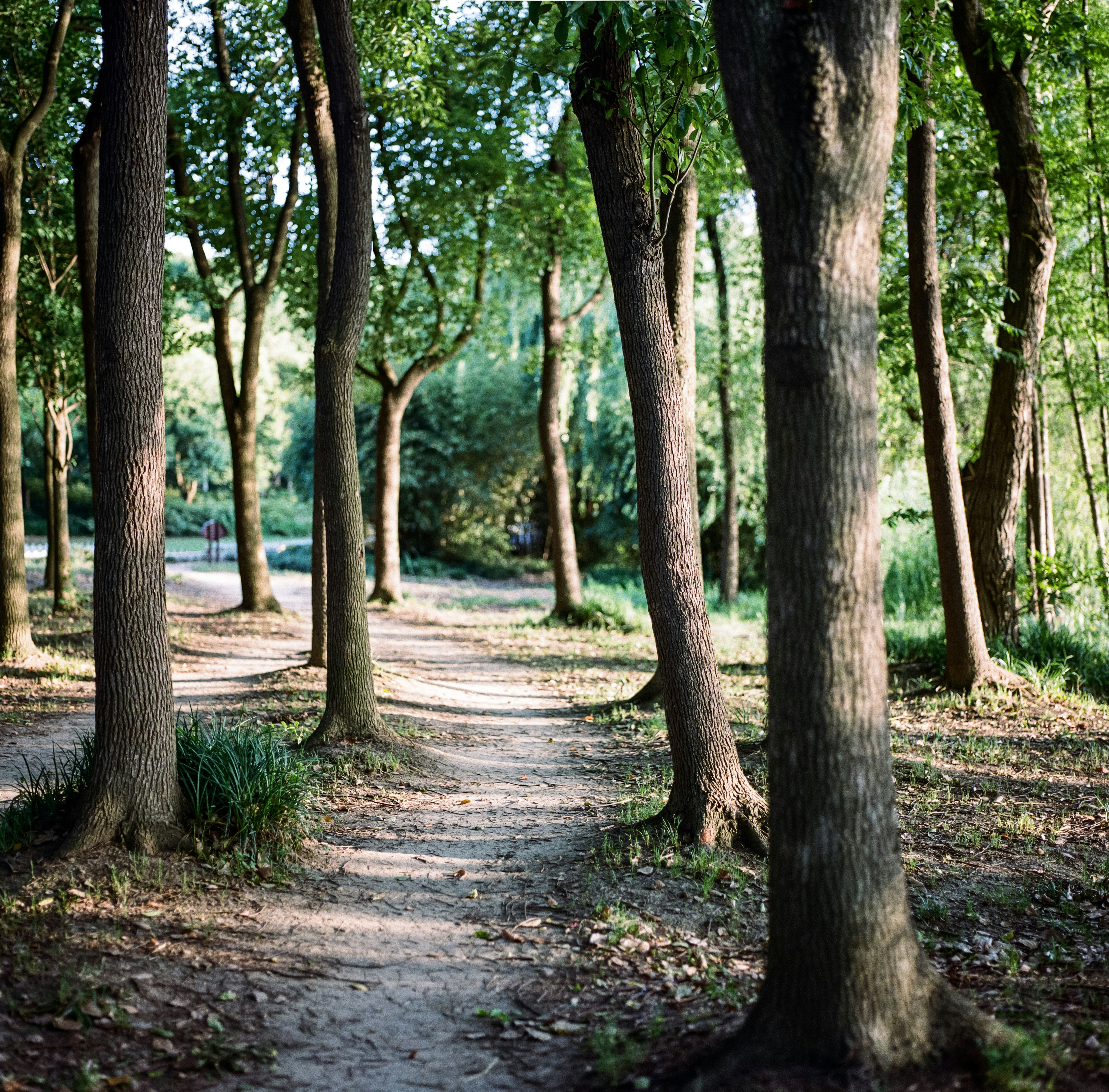 Photo by kennyzhang29