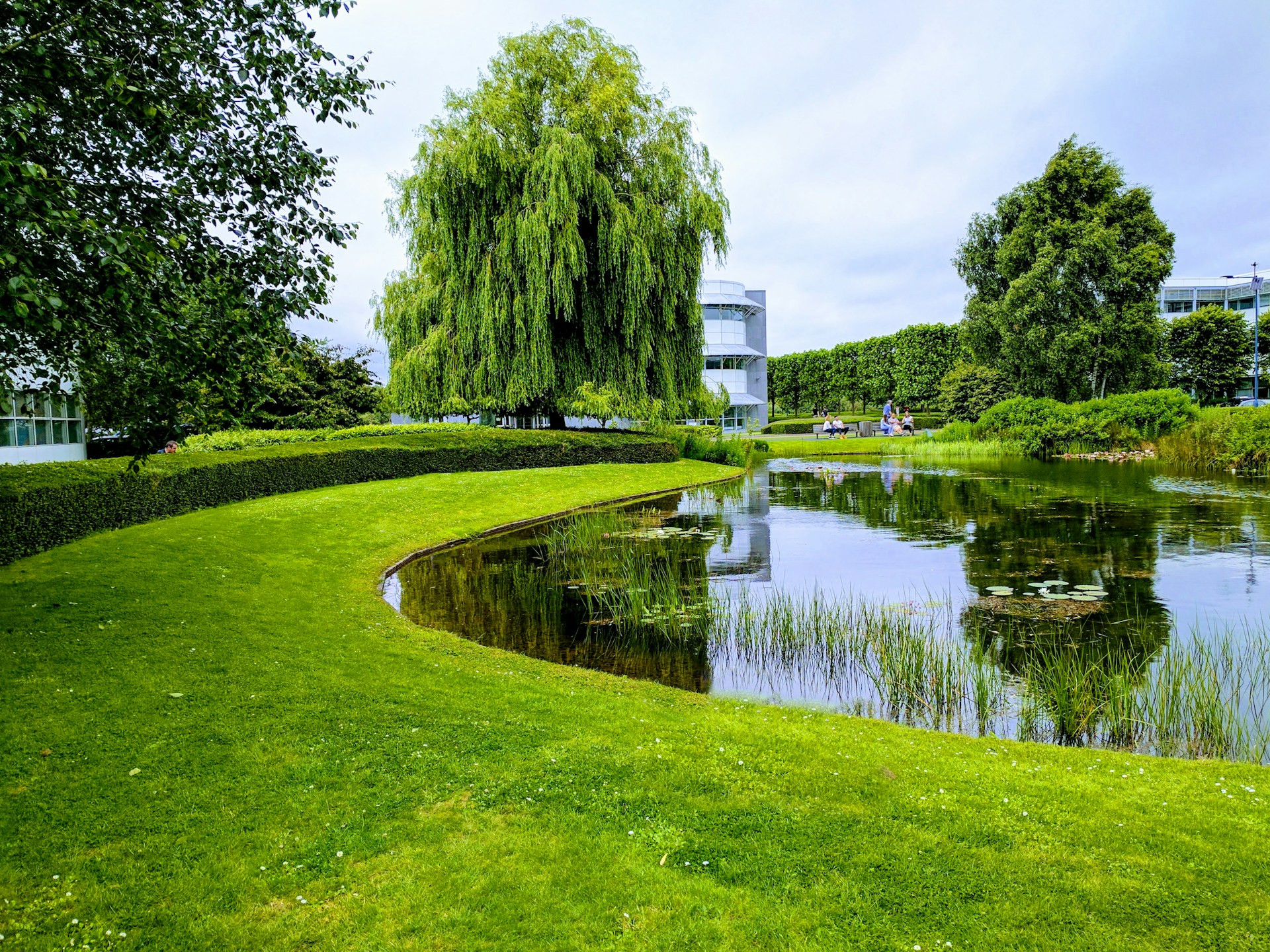 green trees beside river under blue sky during daytime