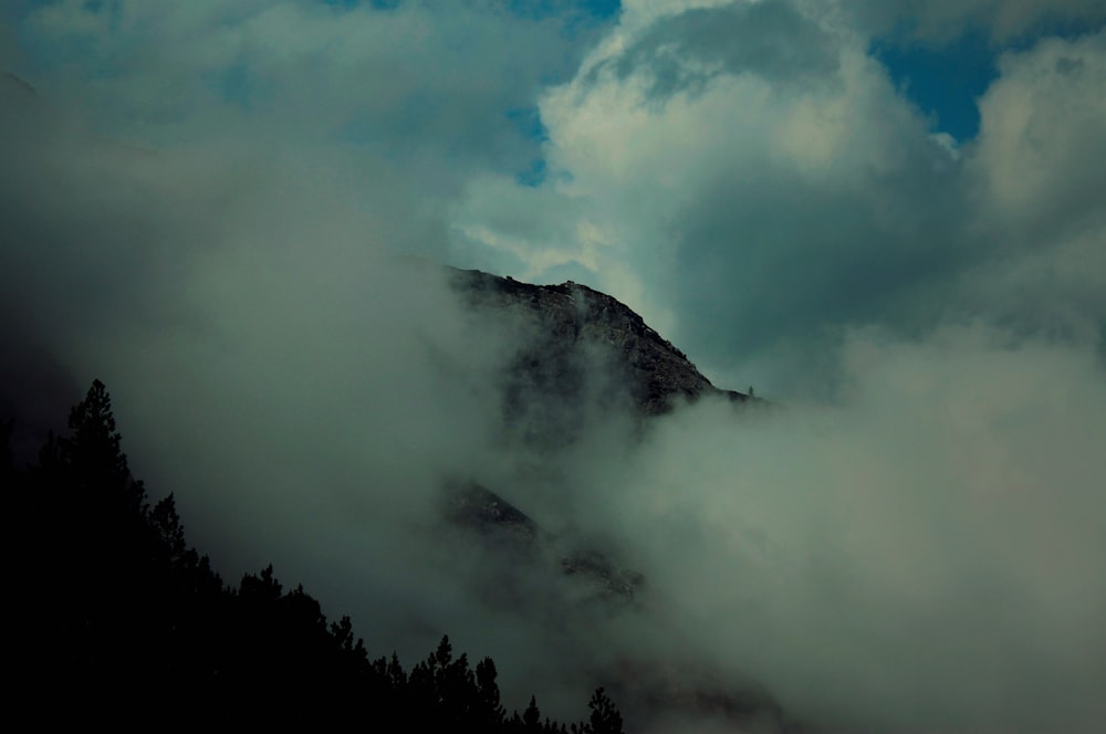 green trees on mountain under white clouds