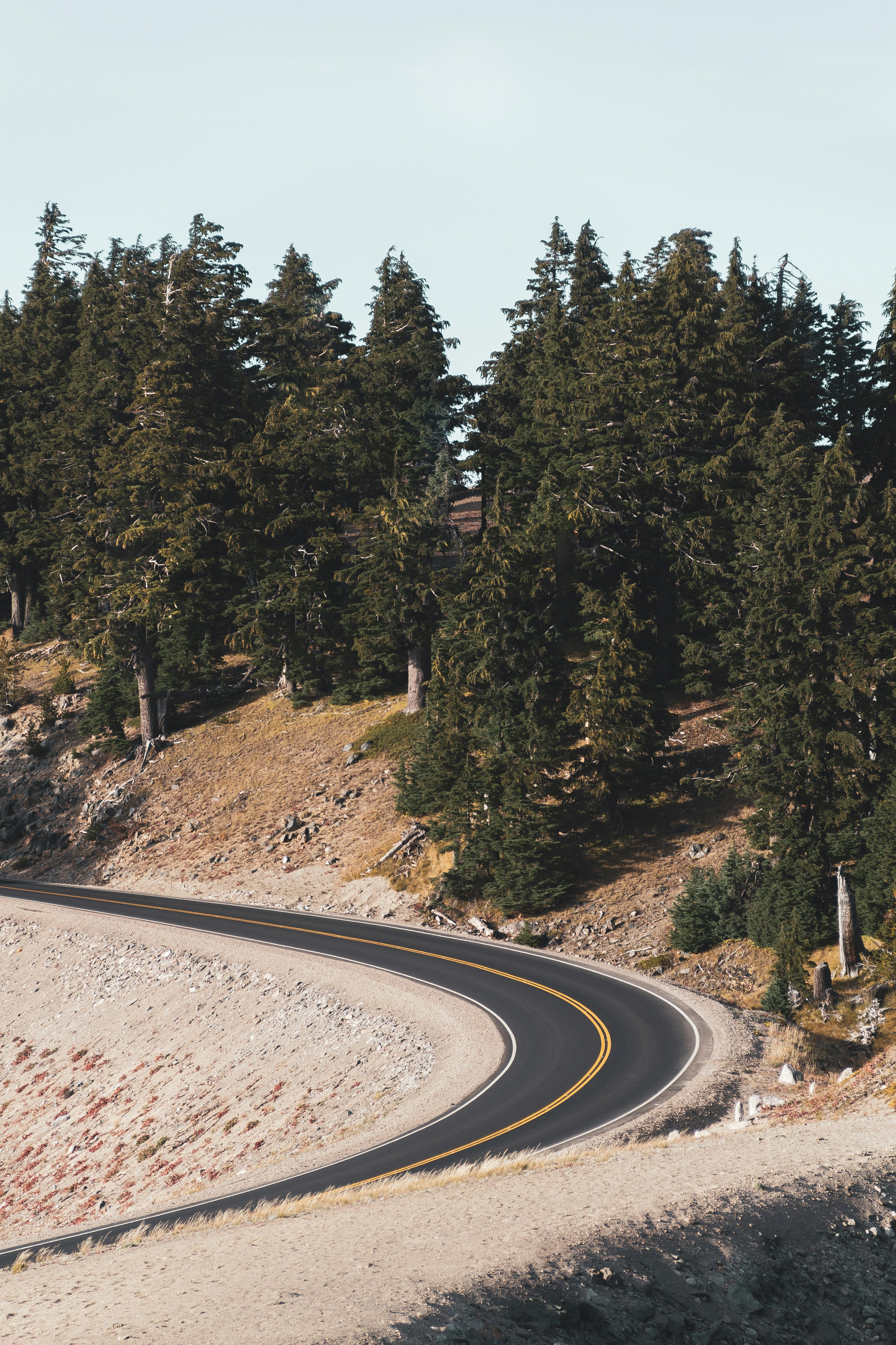 Photo by andreas_haslinger