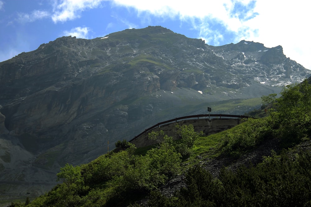 green trees on mountain under blue sky during daytime