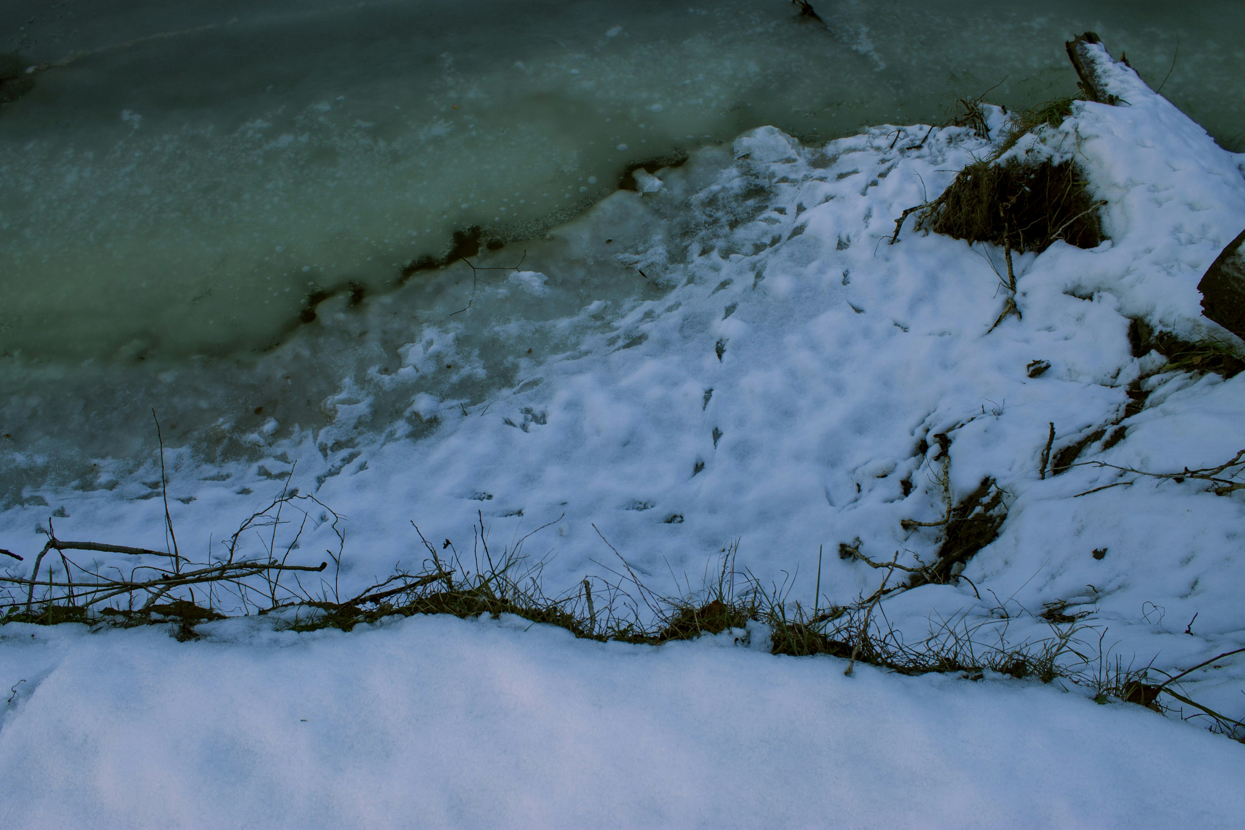 Photo by roll_black_ocean