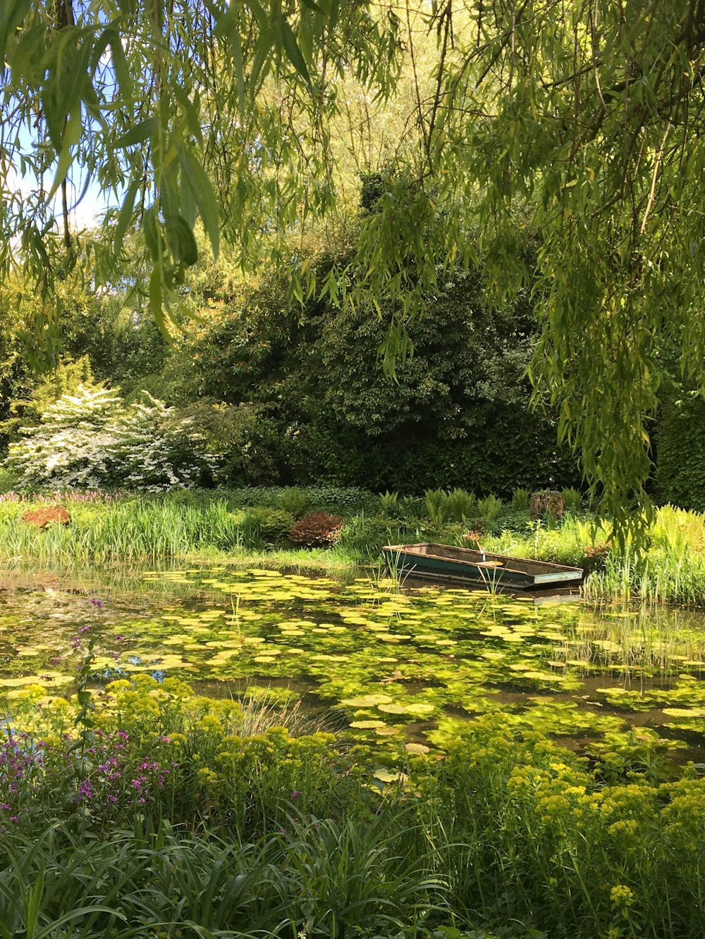 brown wooden bench on green grass field