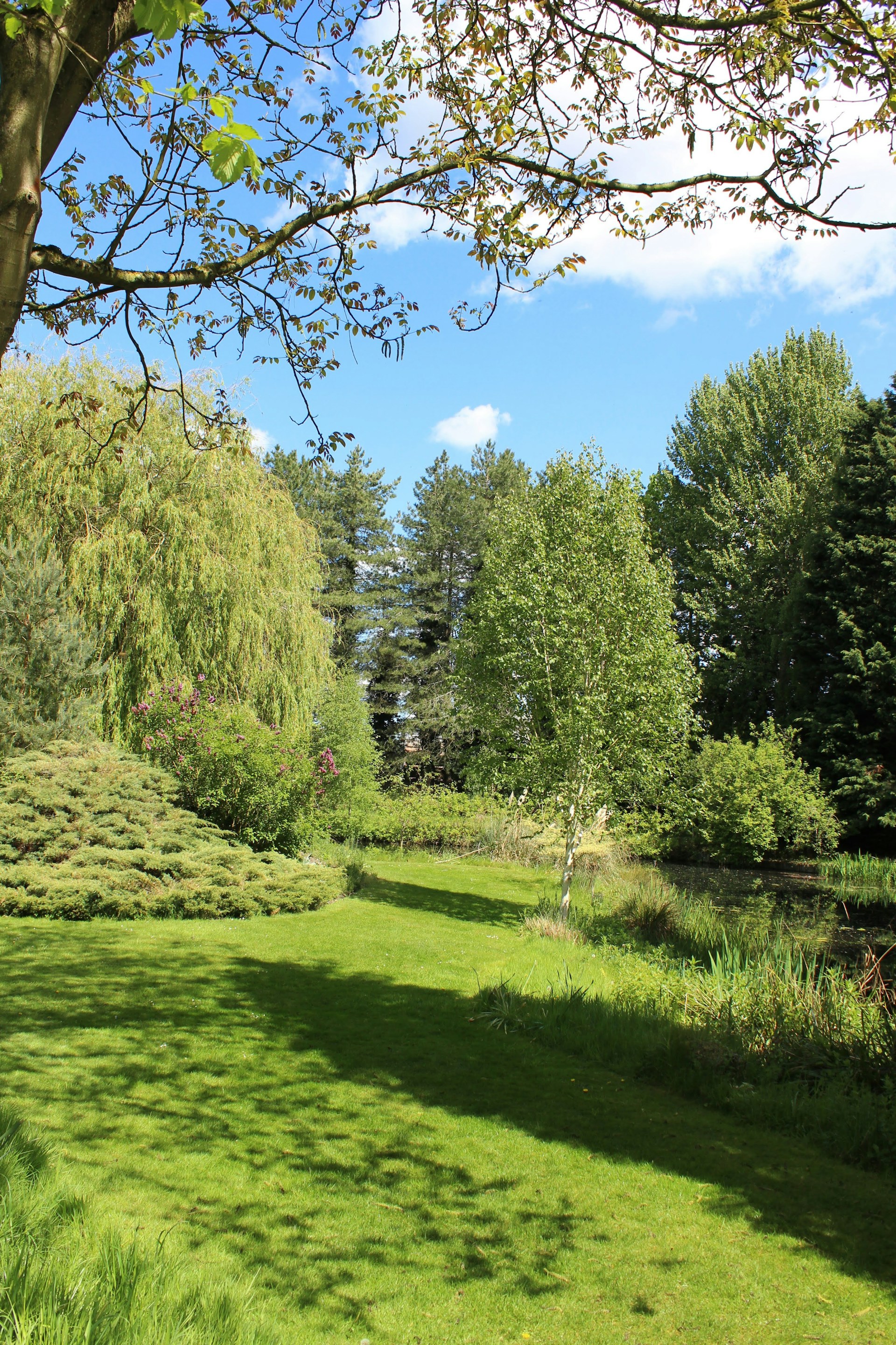 gray computer monitor