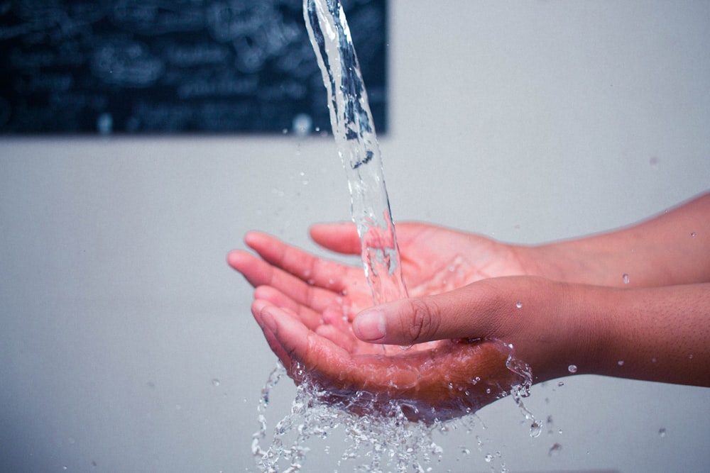persons hand with water