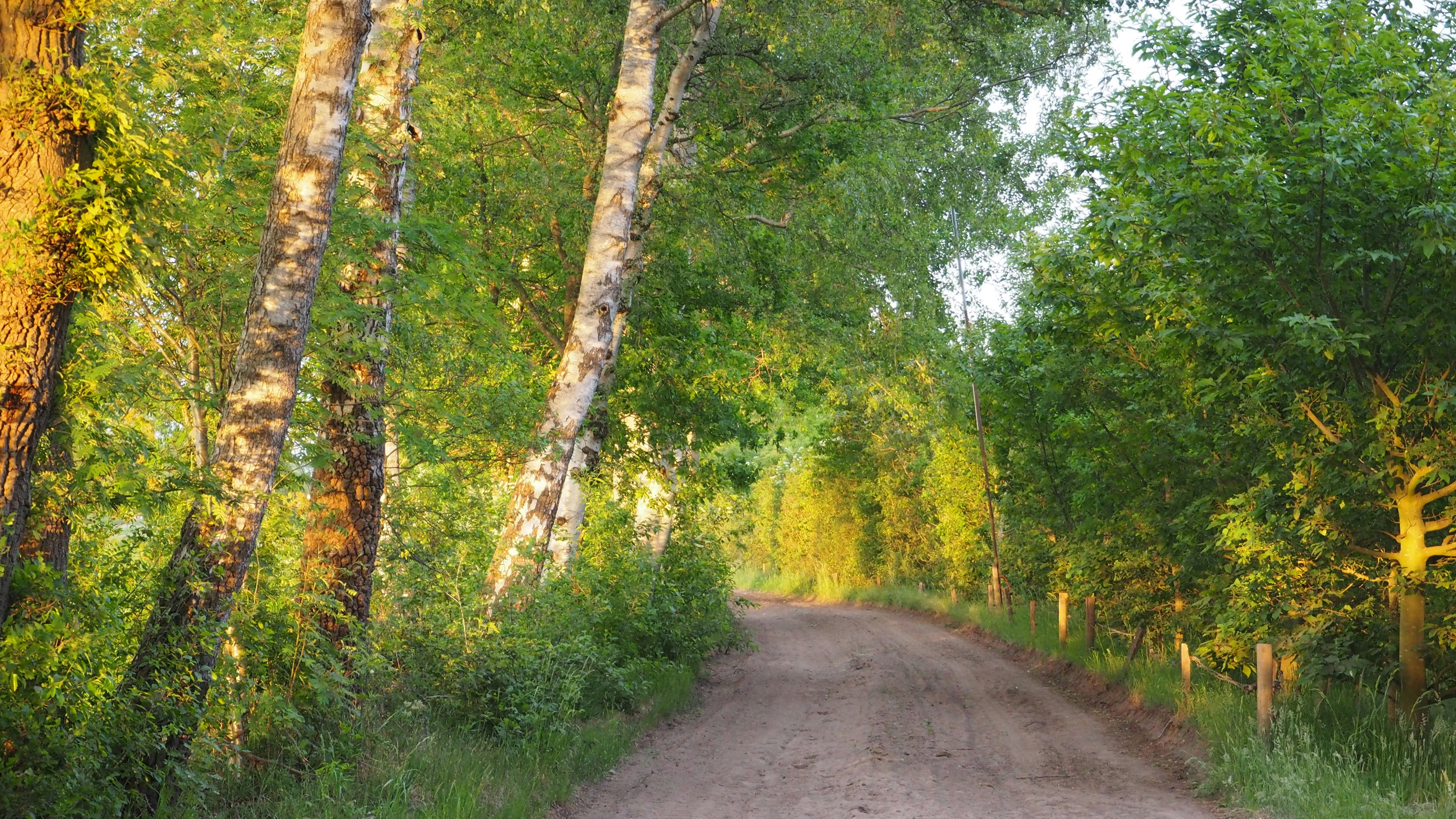 Photo by max_payload