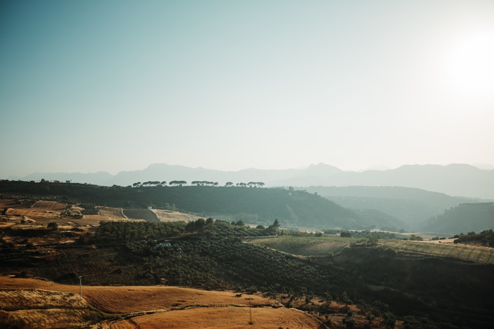 aerial view of green mountains and trees during daytime