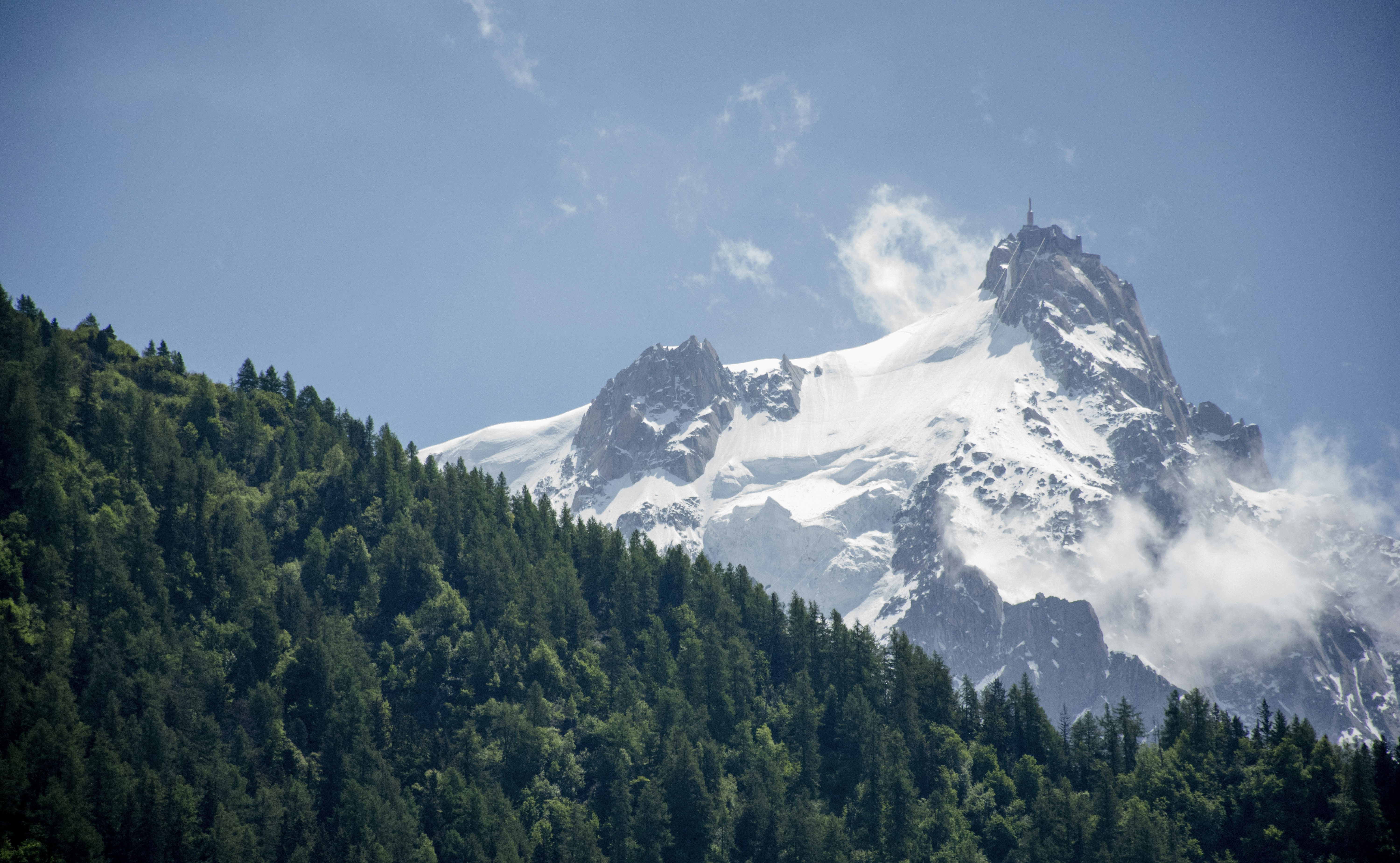 Árboles verdes cerca de la montaña cubierta de nieve durante el día