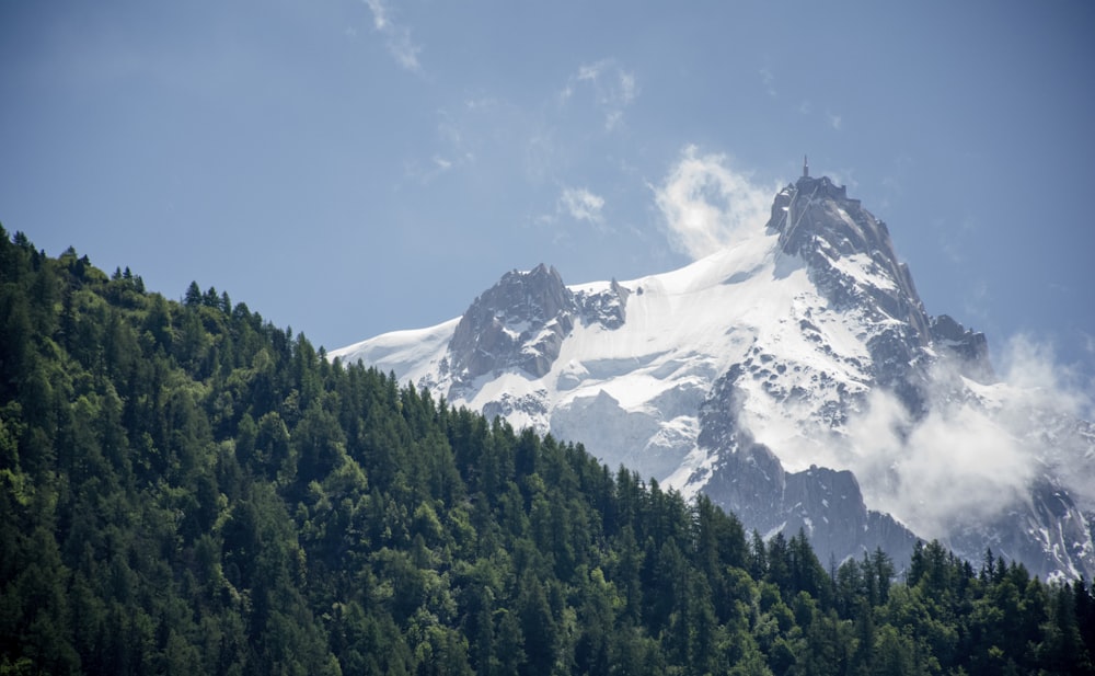 green trees near snow covered mountain during daytime