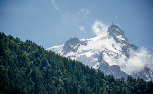 green trees near snow covered mountain during daytime in Chamonix France