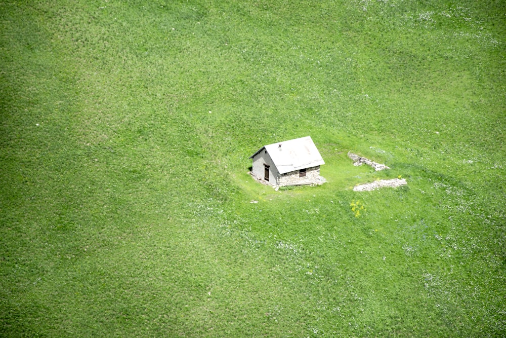 Weißes Holzhaus auf grünem Grasfeld
