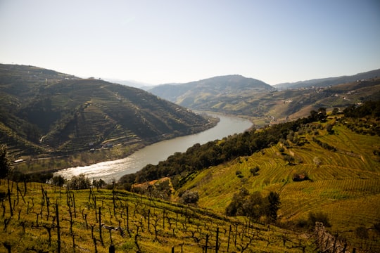 green grass field near body of water during daytime in Douro Portugal