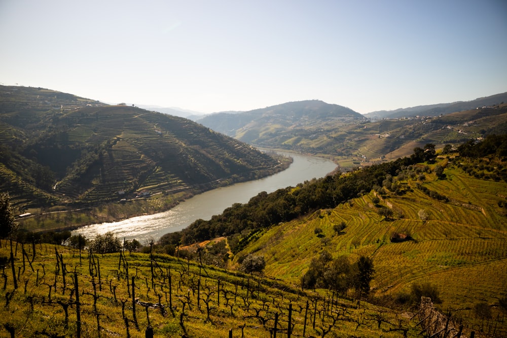 Campo de hierba verde cerca del cuerpo de agua durante el día