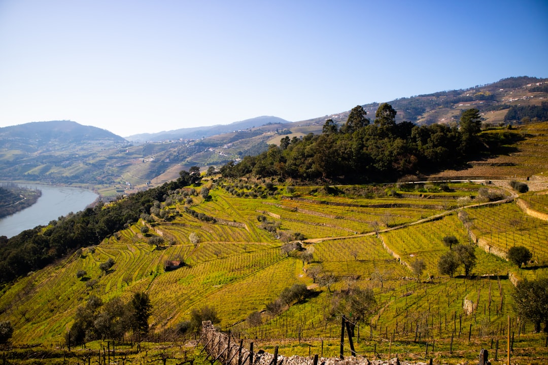 Hill station photo spot Douro Amarante