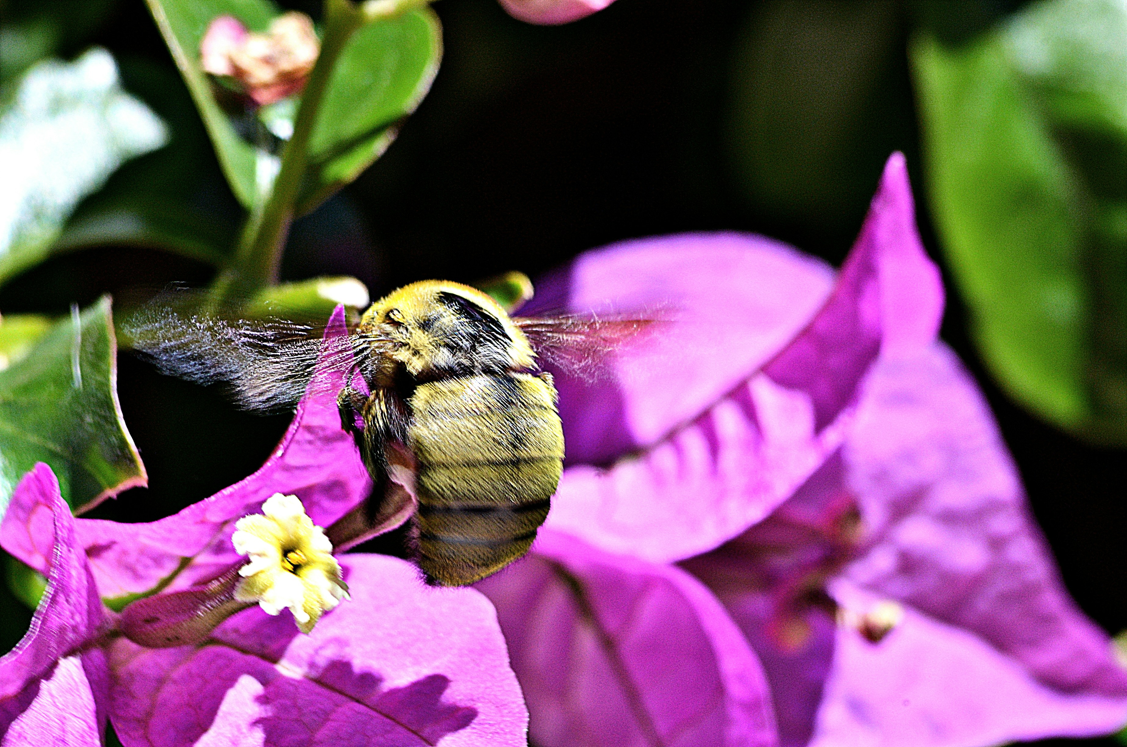 Photo by soufiane_photo_focus