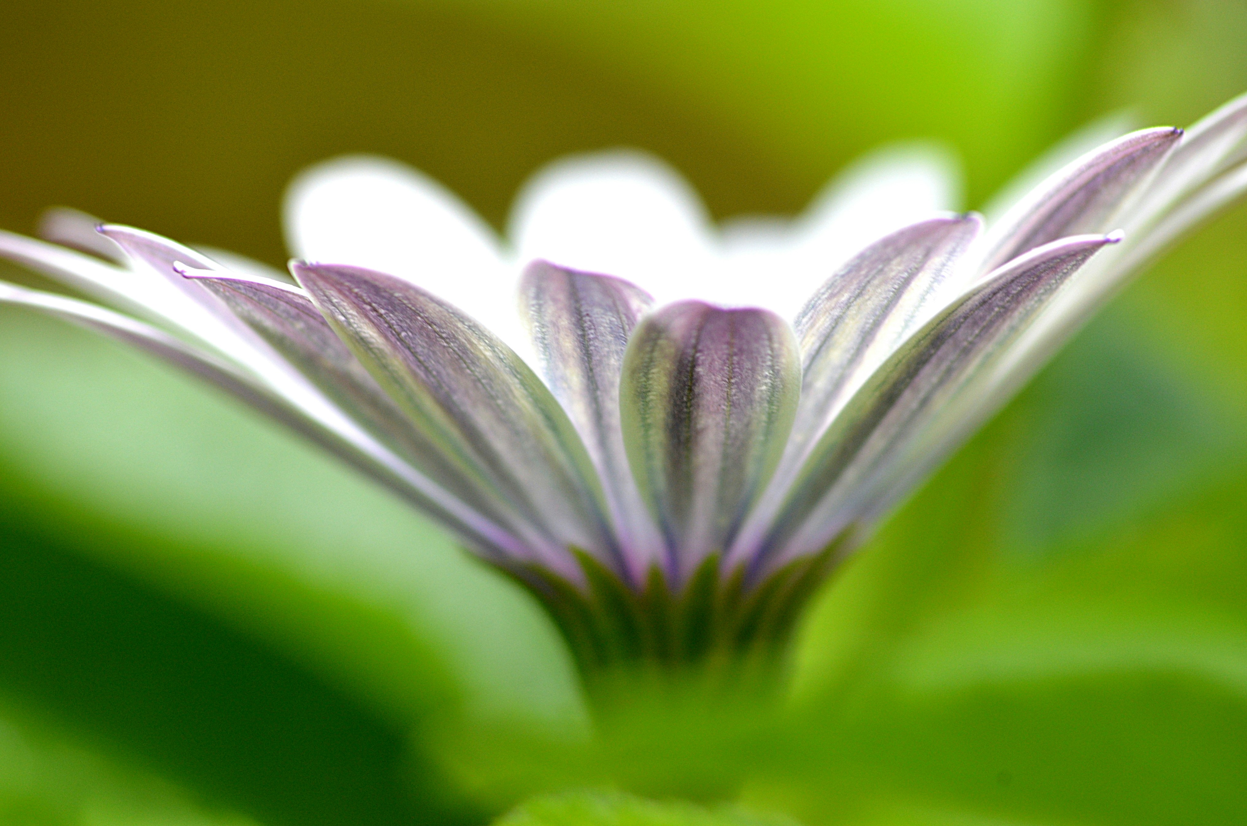 Photo by soufiane_photo_focus