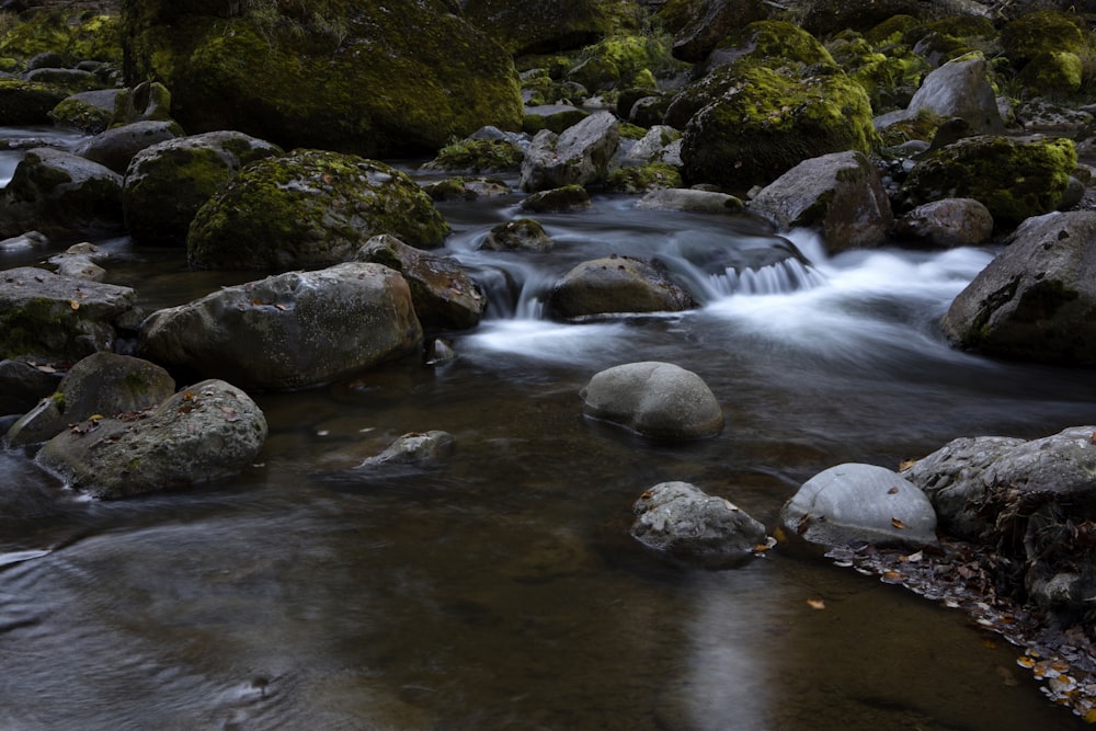 gray rocks on river during daytime