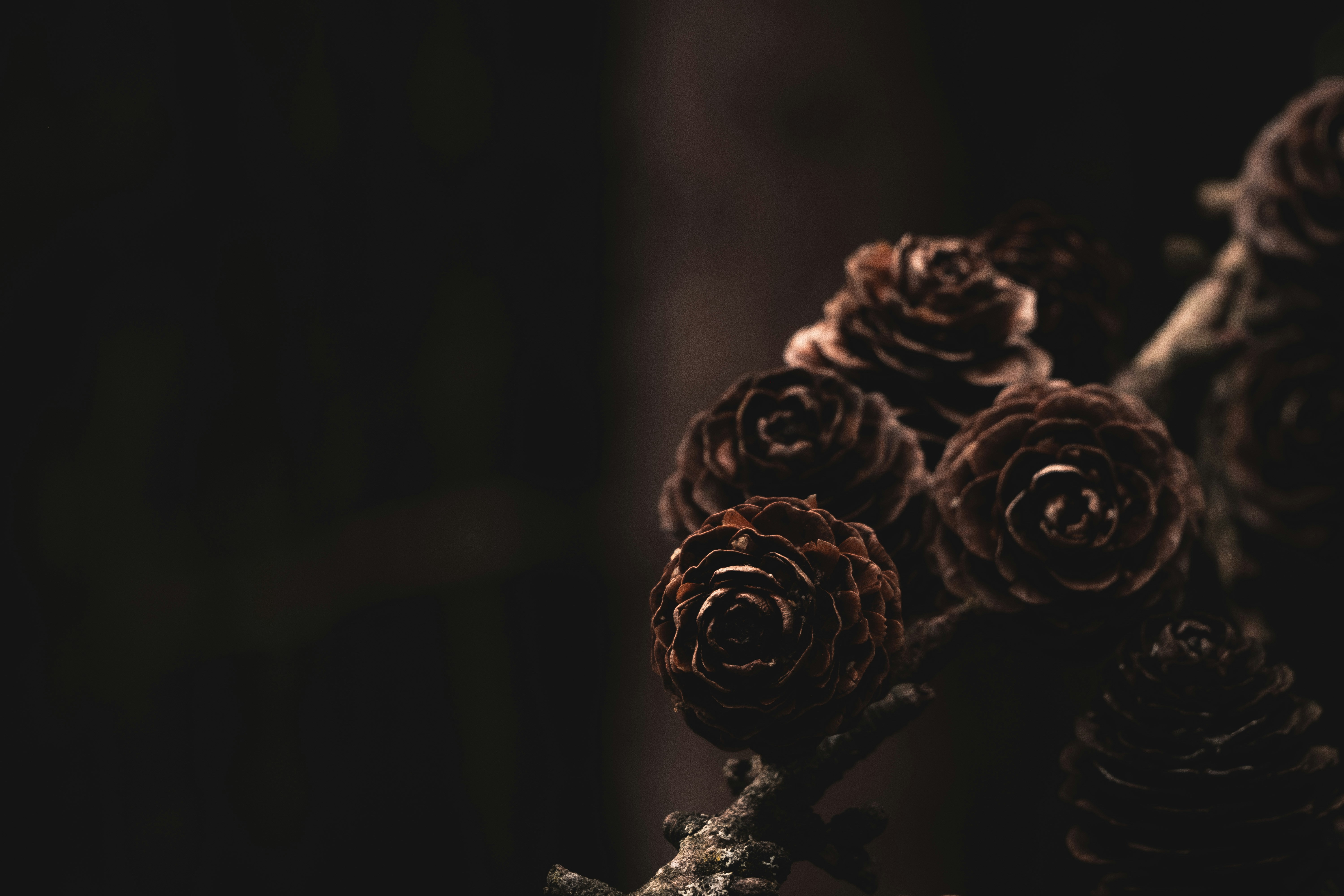 Photo by robinmathlener